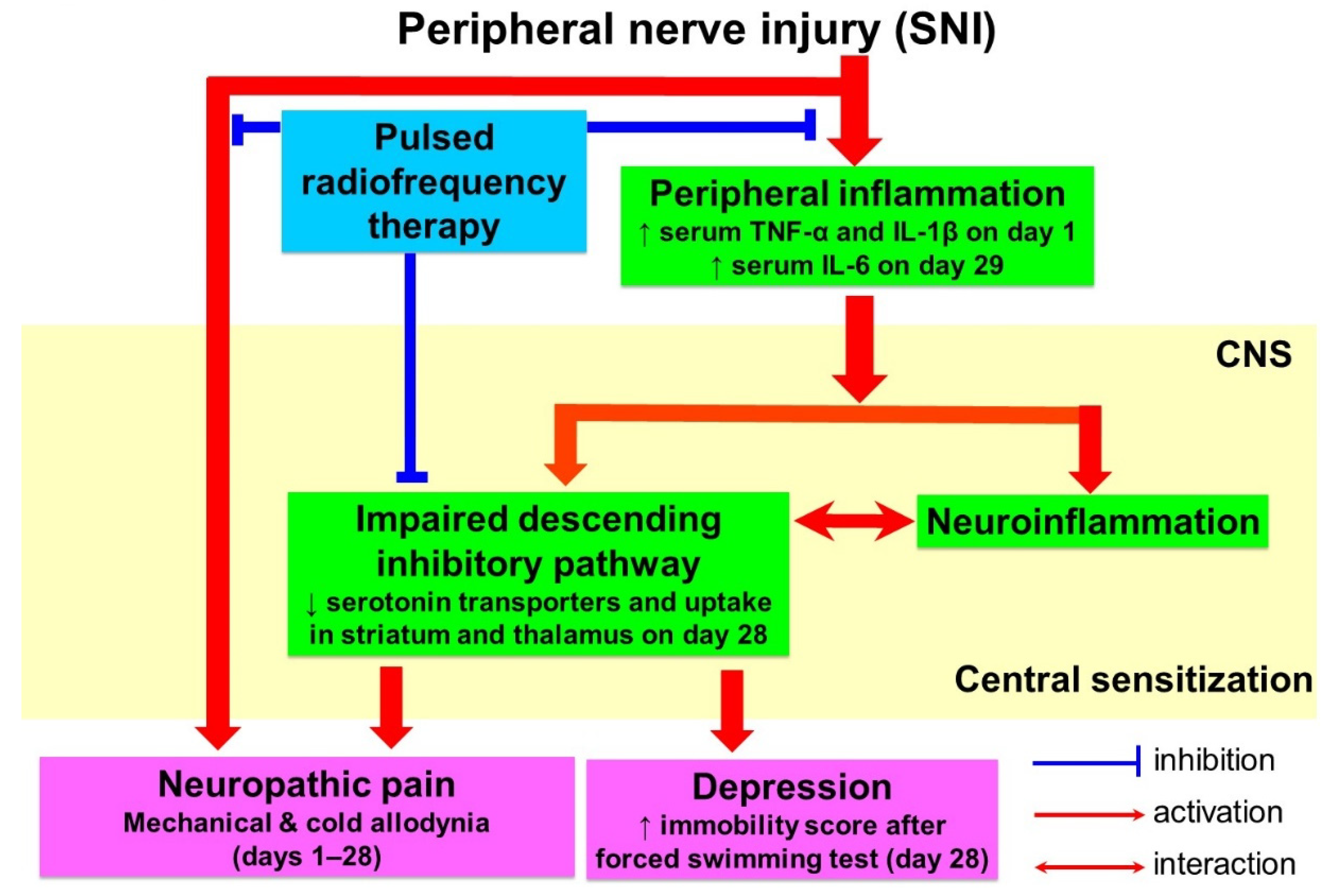 Biomedicines 09 01489 g006 550