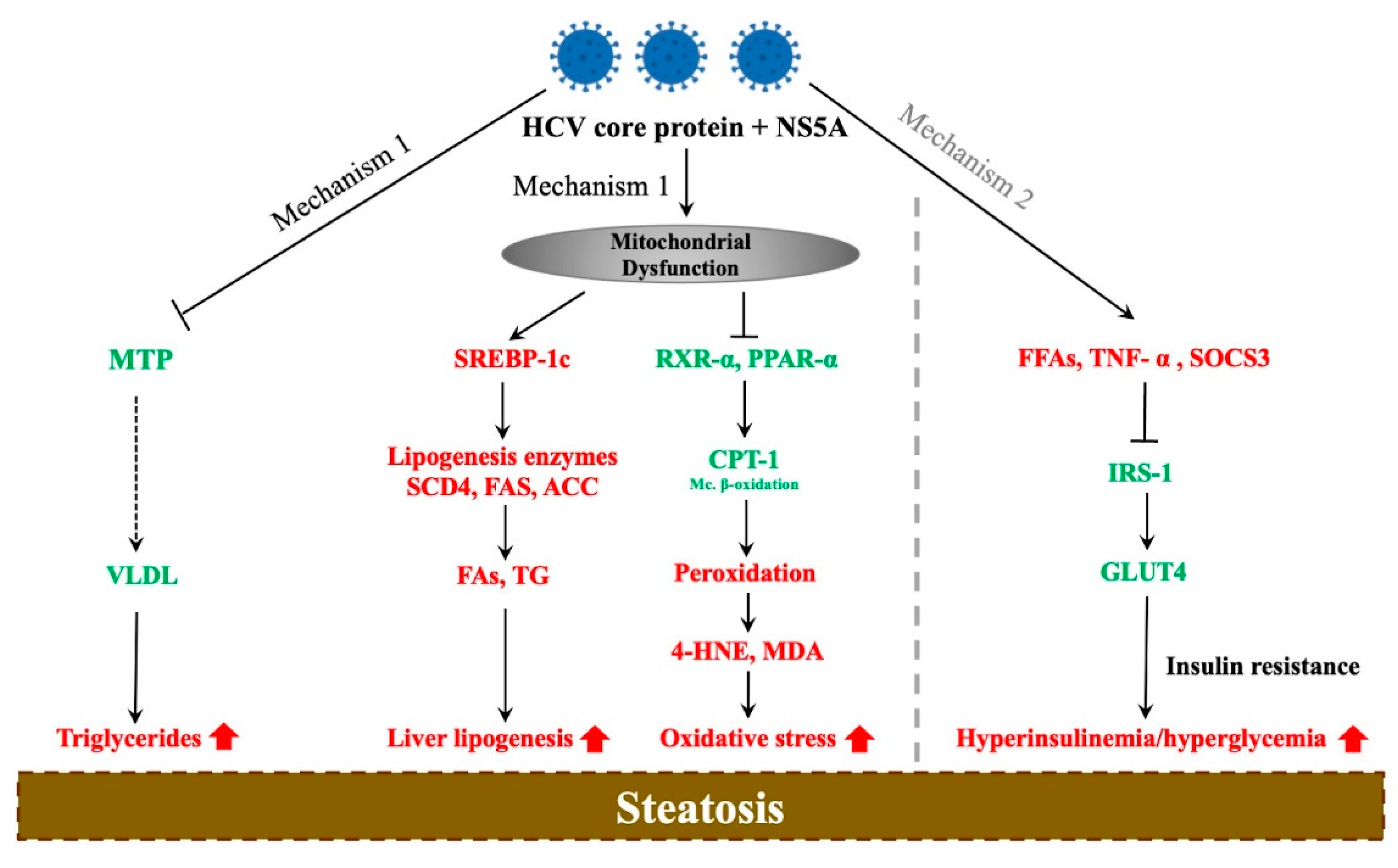 Biomedicines 09 01491 g001 Biomedicines 09 01491 g001