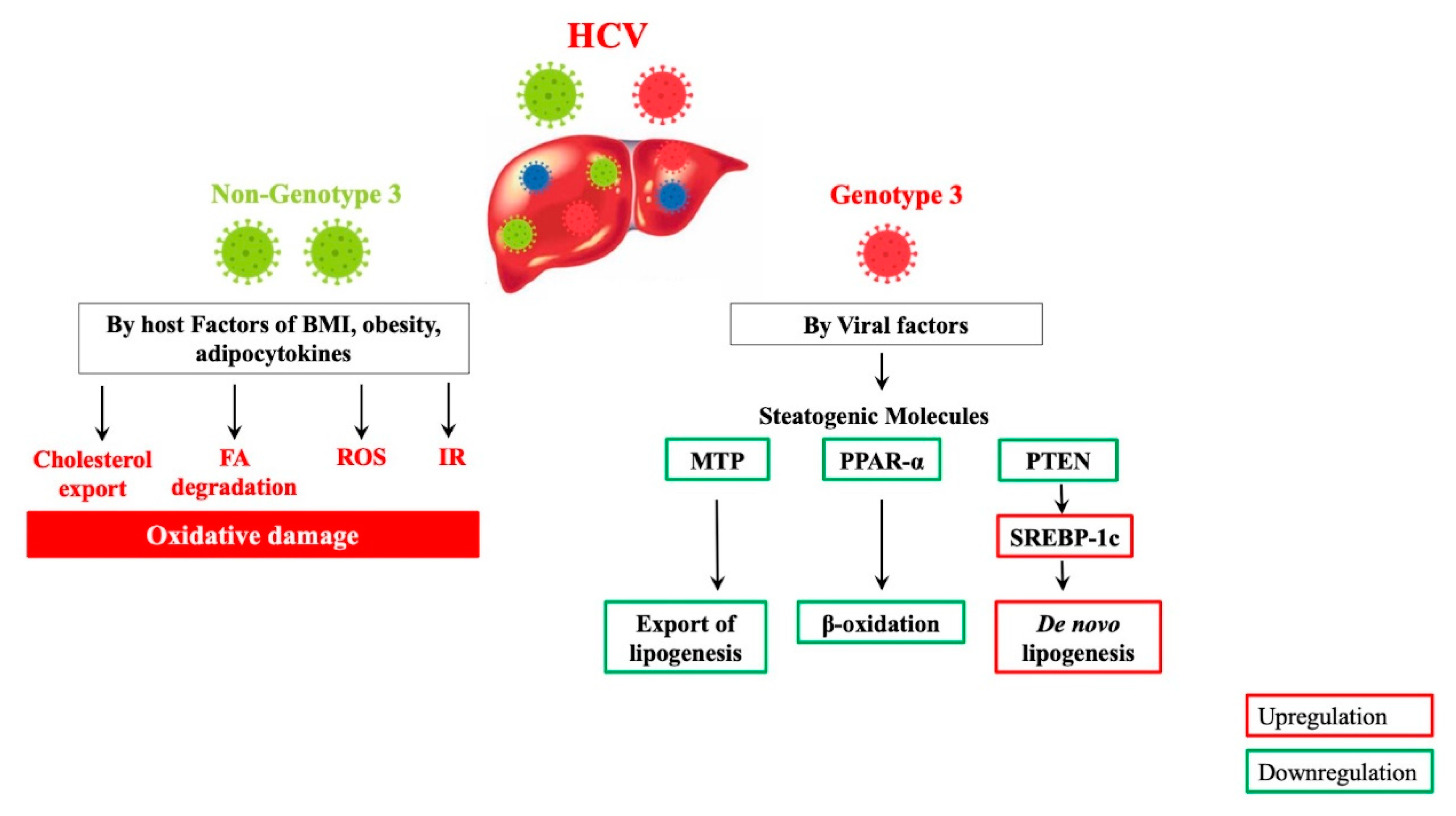 Biomedicines 09 01491 g003 Biomedicines 09 01491 g003