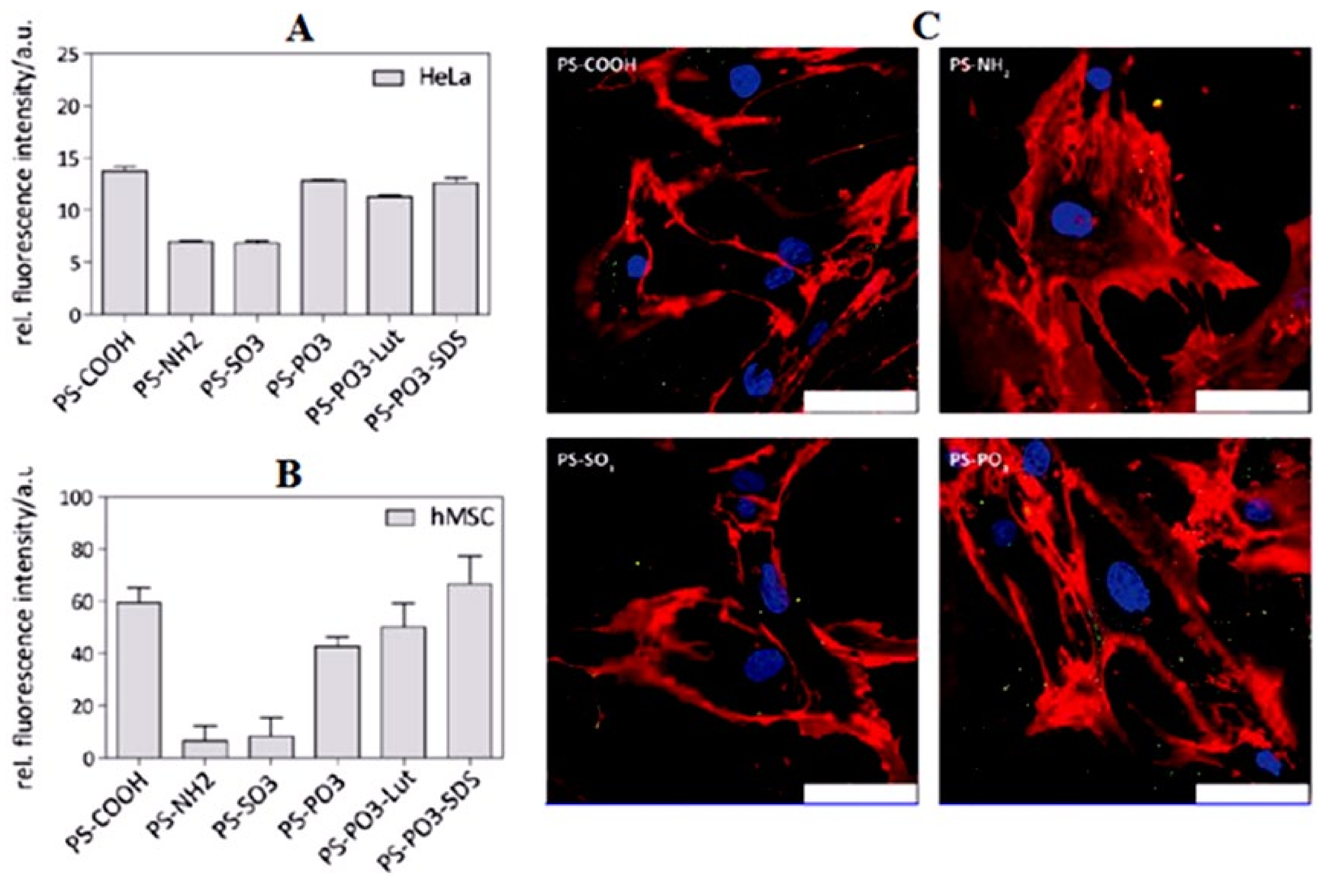 Biomedicines 09 01496 g007 Biomedicines 09 01496 g007