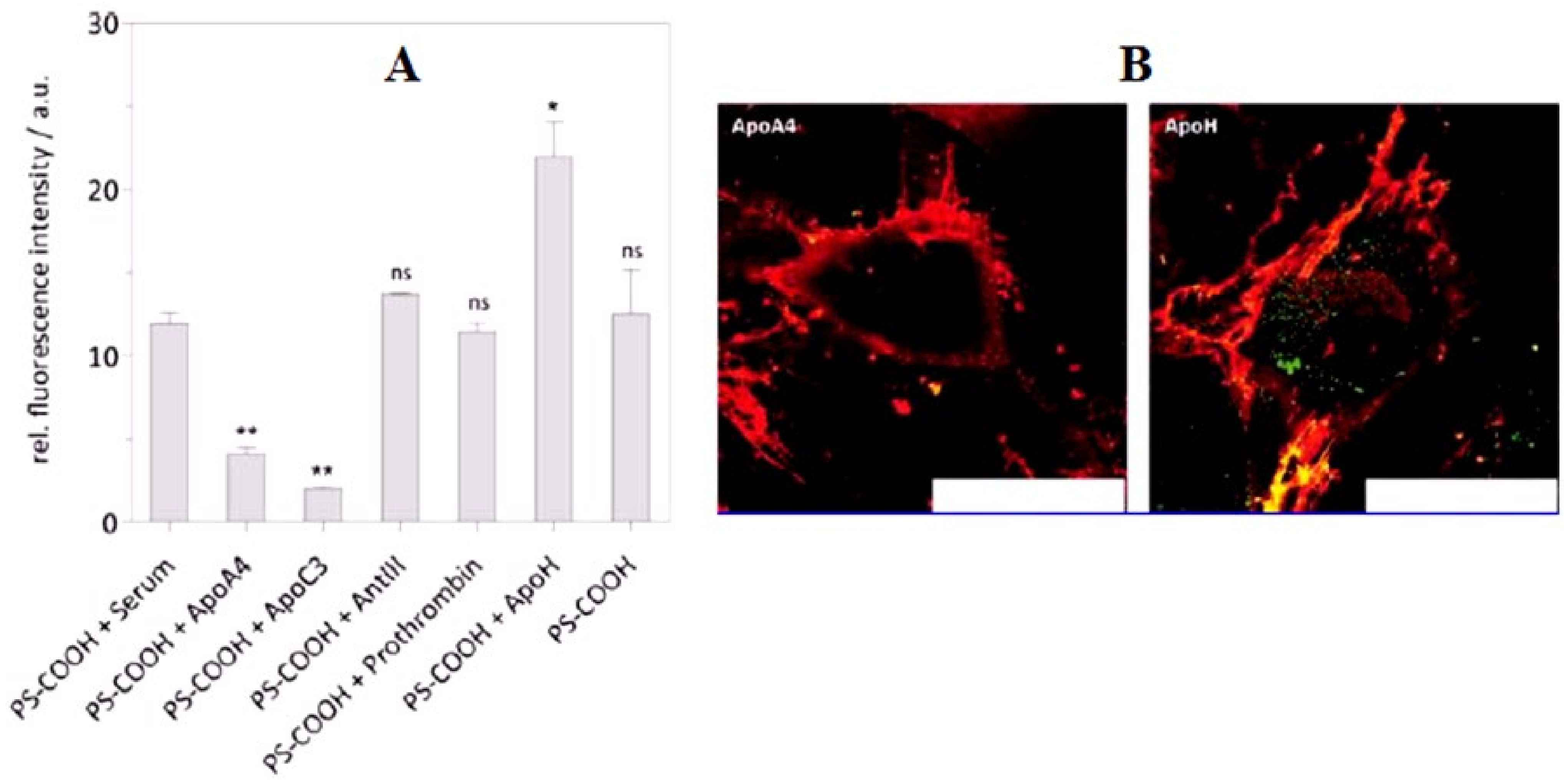 Biomedicines 09 01496 g008 Biomedicines 09 01496 g008