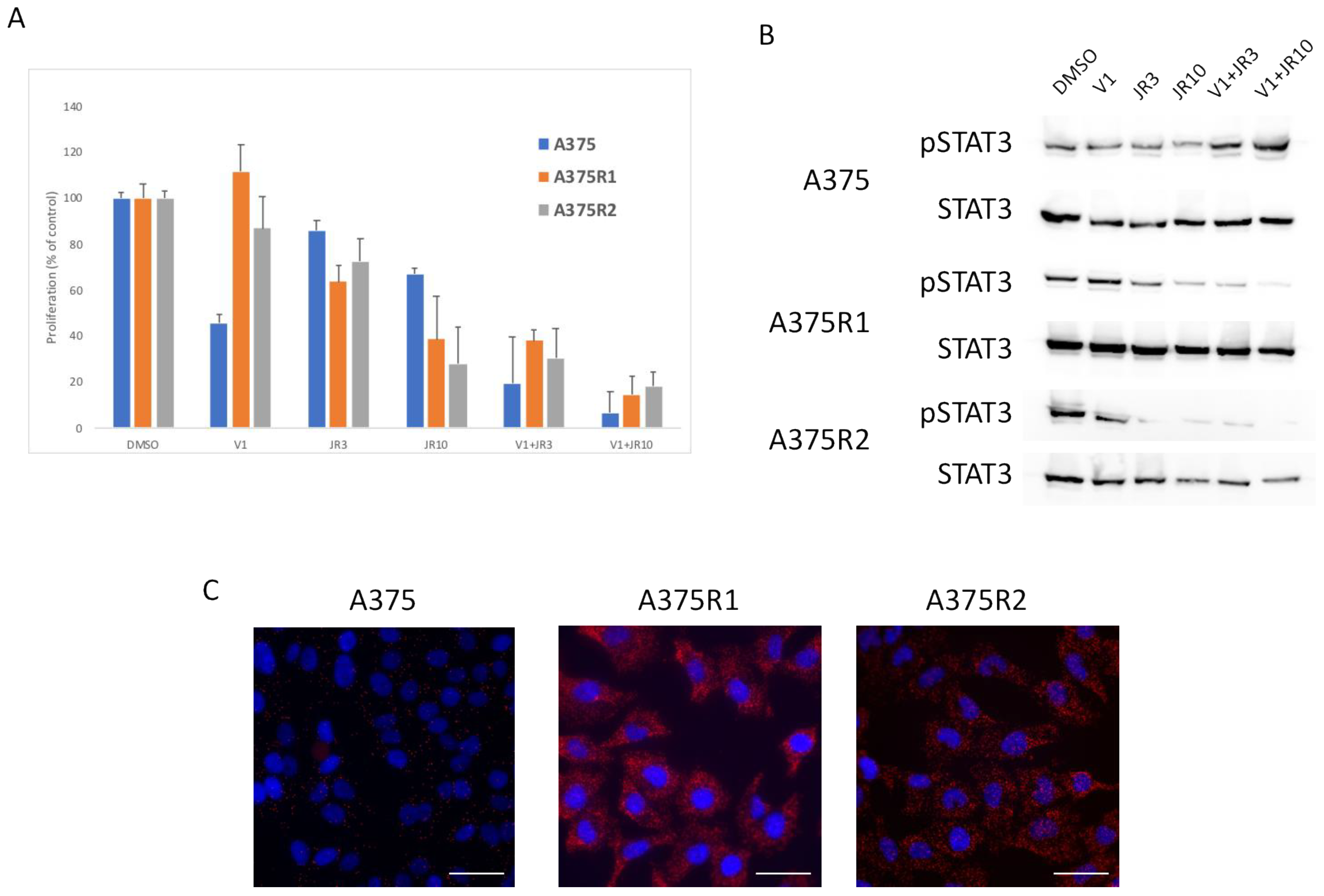 Biomedicines 09 01498 g006 Biomedicines 09 01498 g006