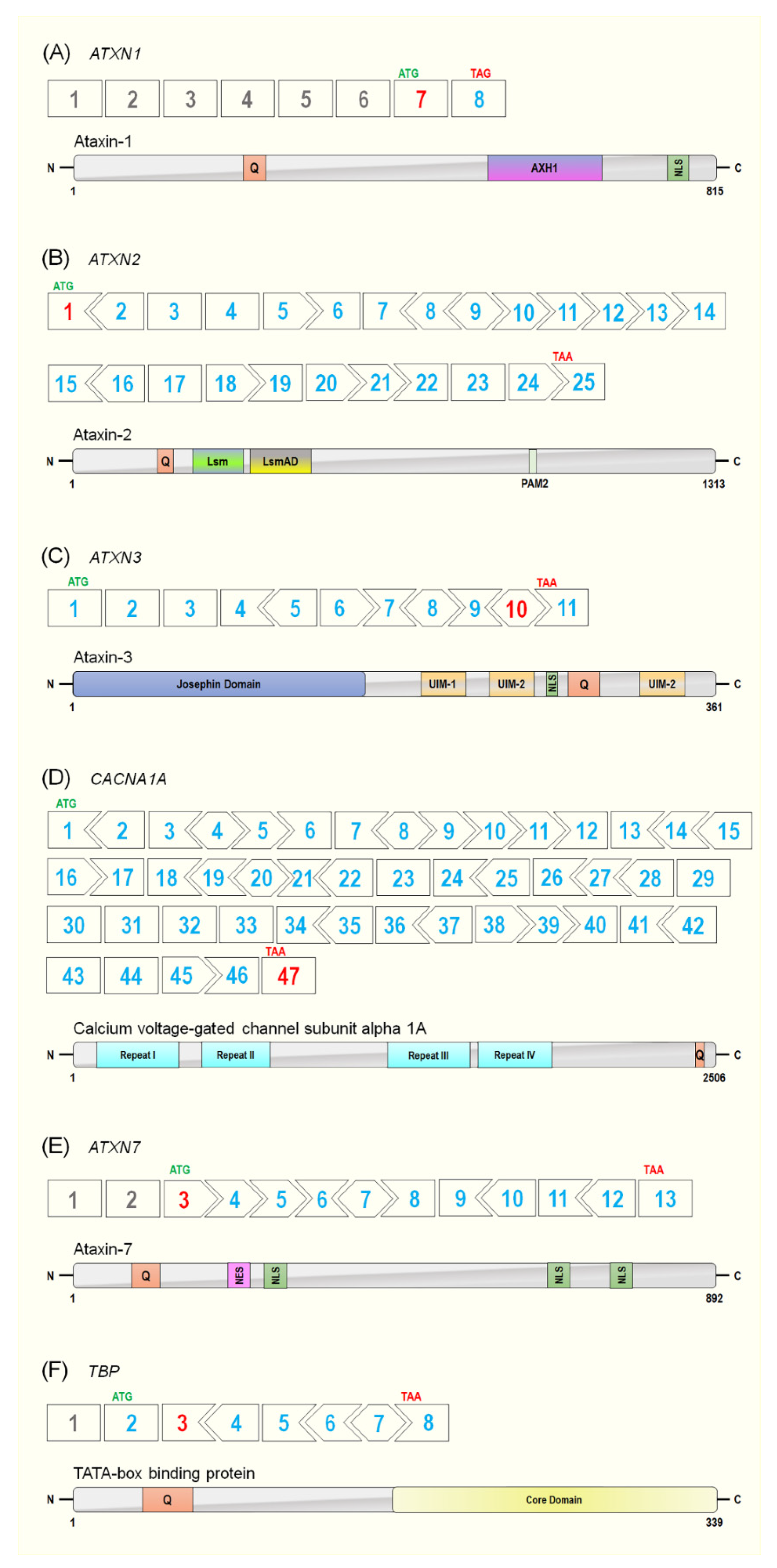 Biomedicines 09 01499 g003 Biomedicines 09 01499 g003