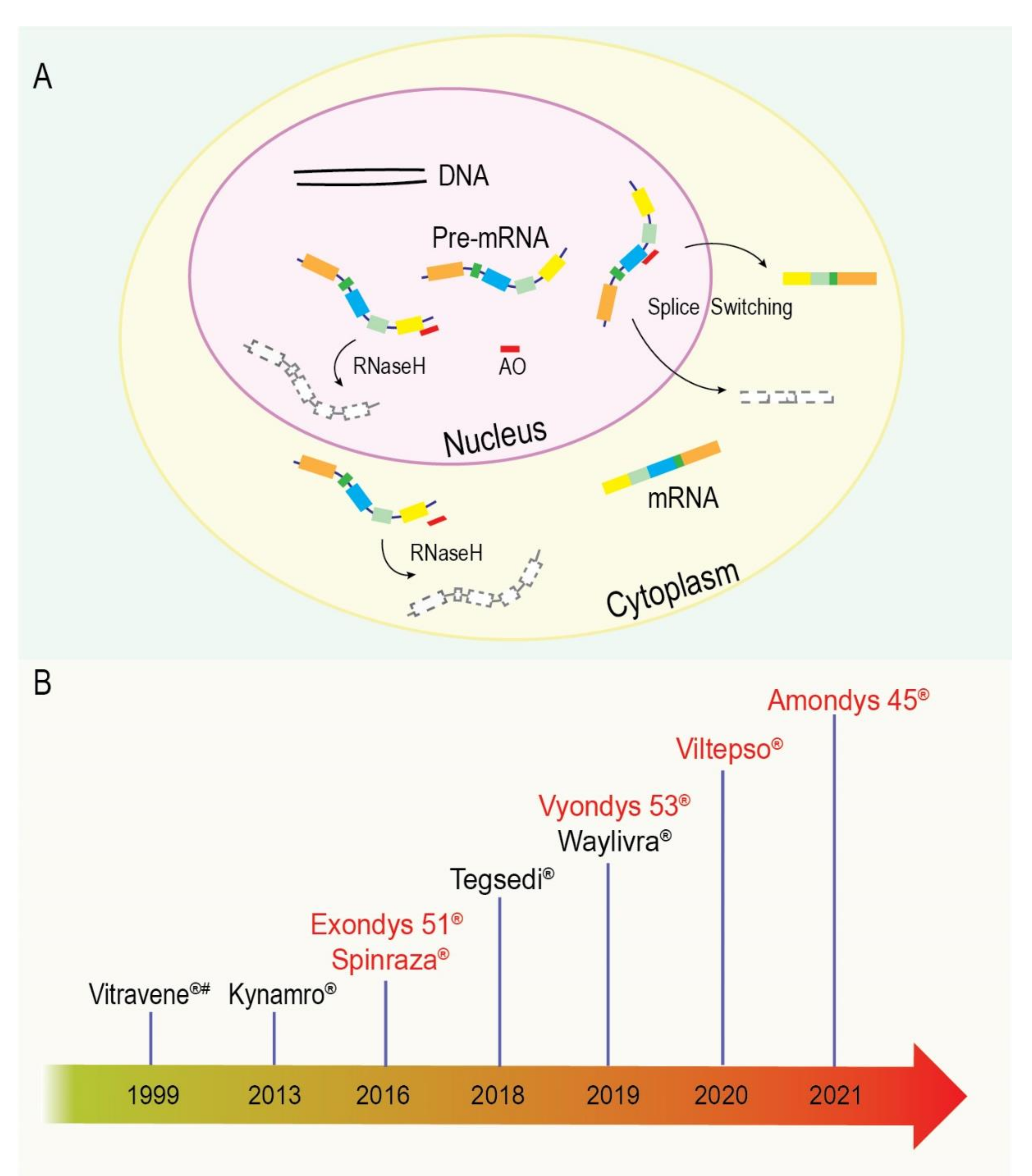 Biomedicines 09 01499 g004 Biomedicines 09 01499 g004