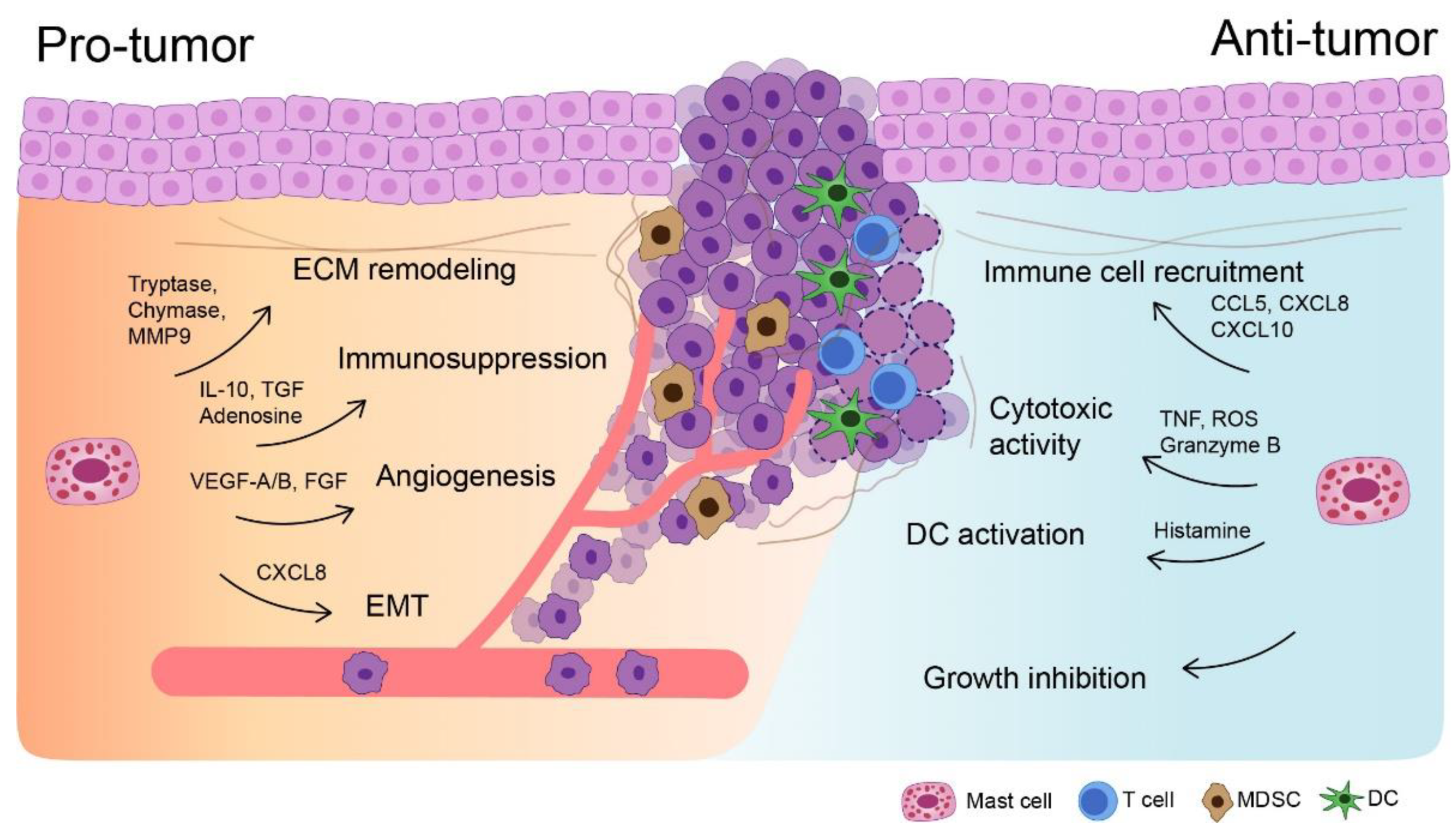 Biomedicines 09 01500 g001 Biomedicines 09 01500 g001