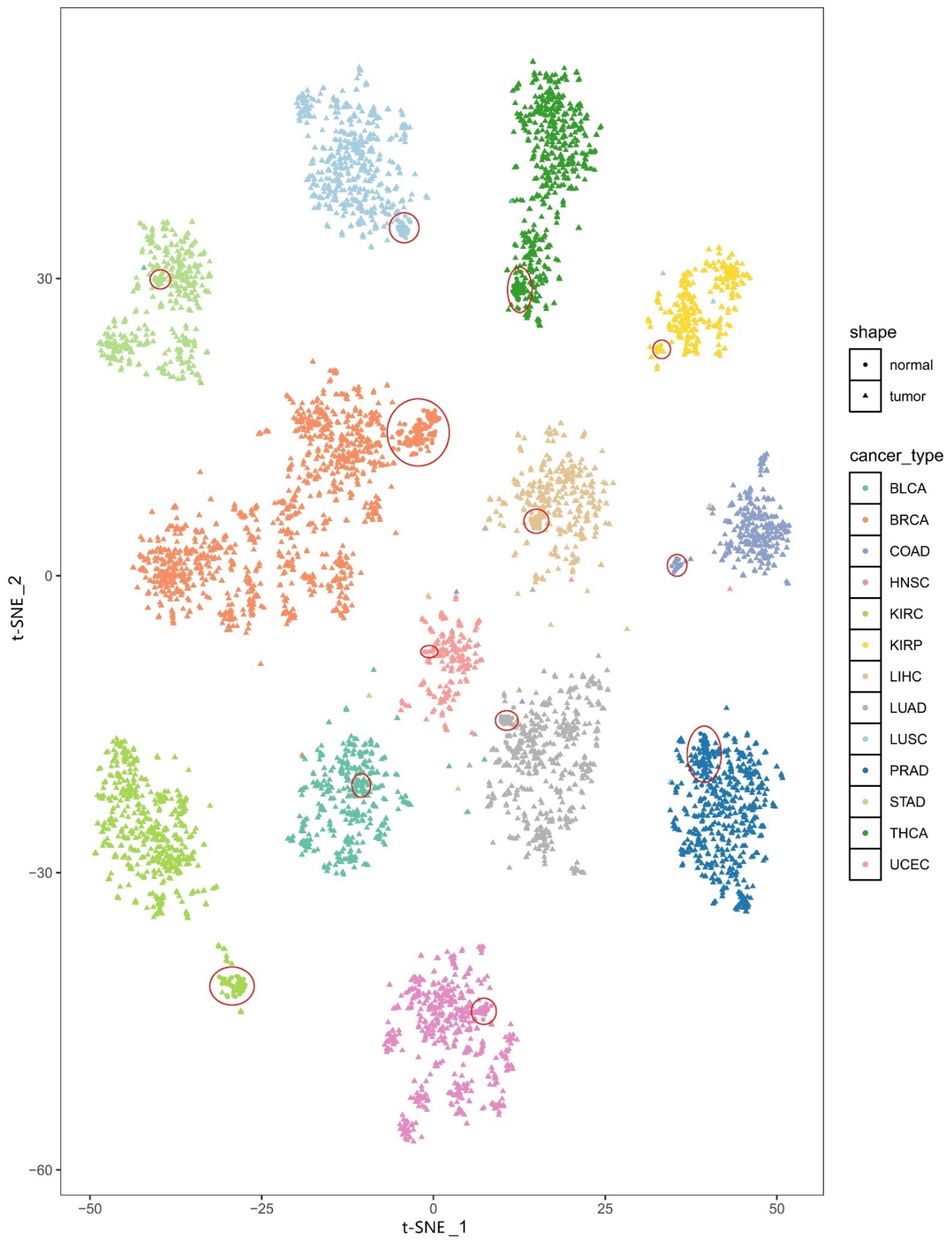 Biomedicines 09 01502 g002