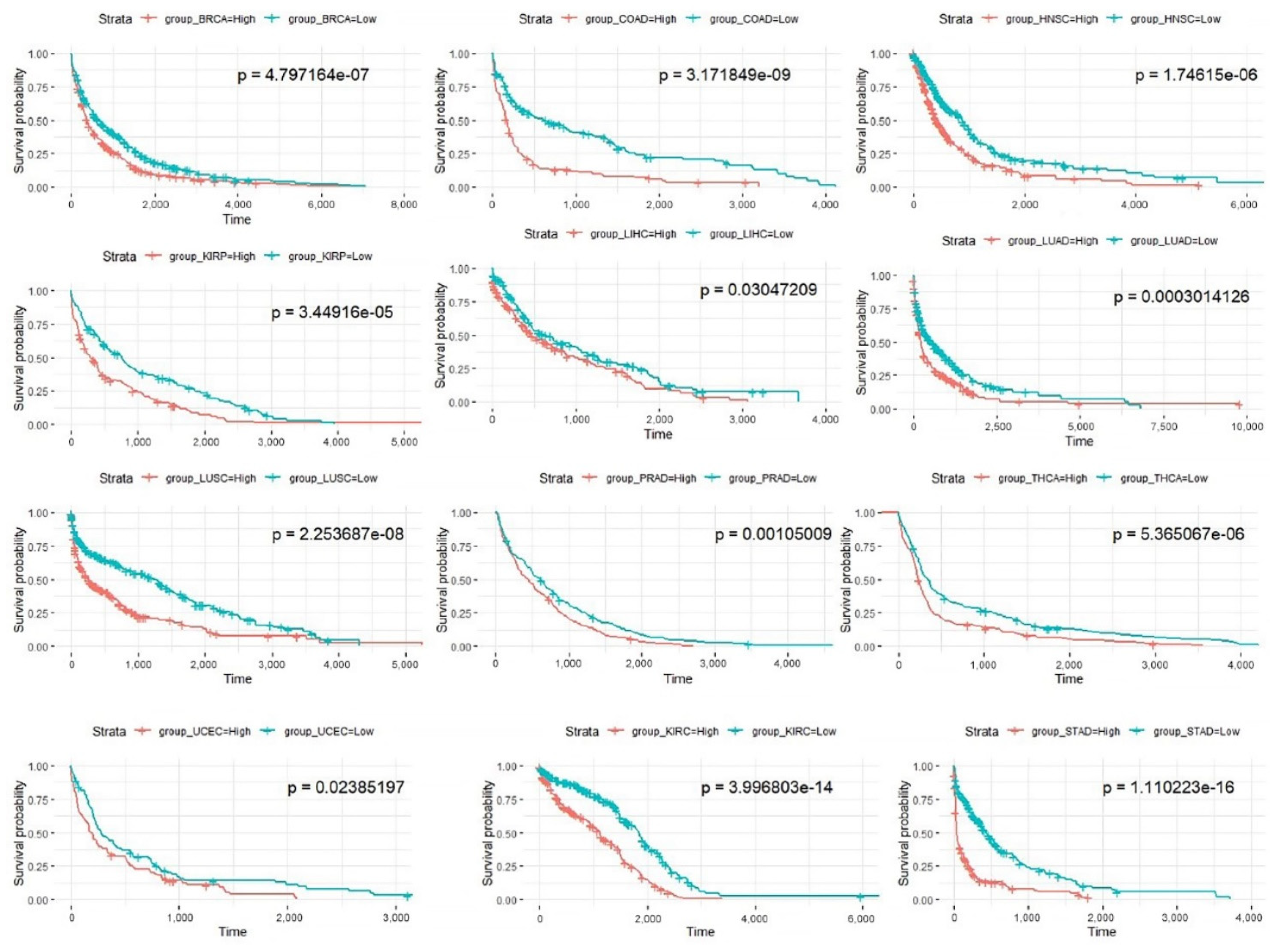 Biomedicines 09 01502 g007