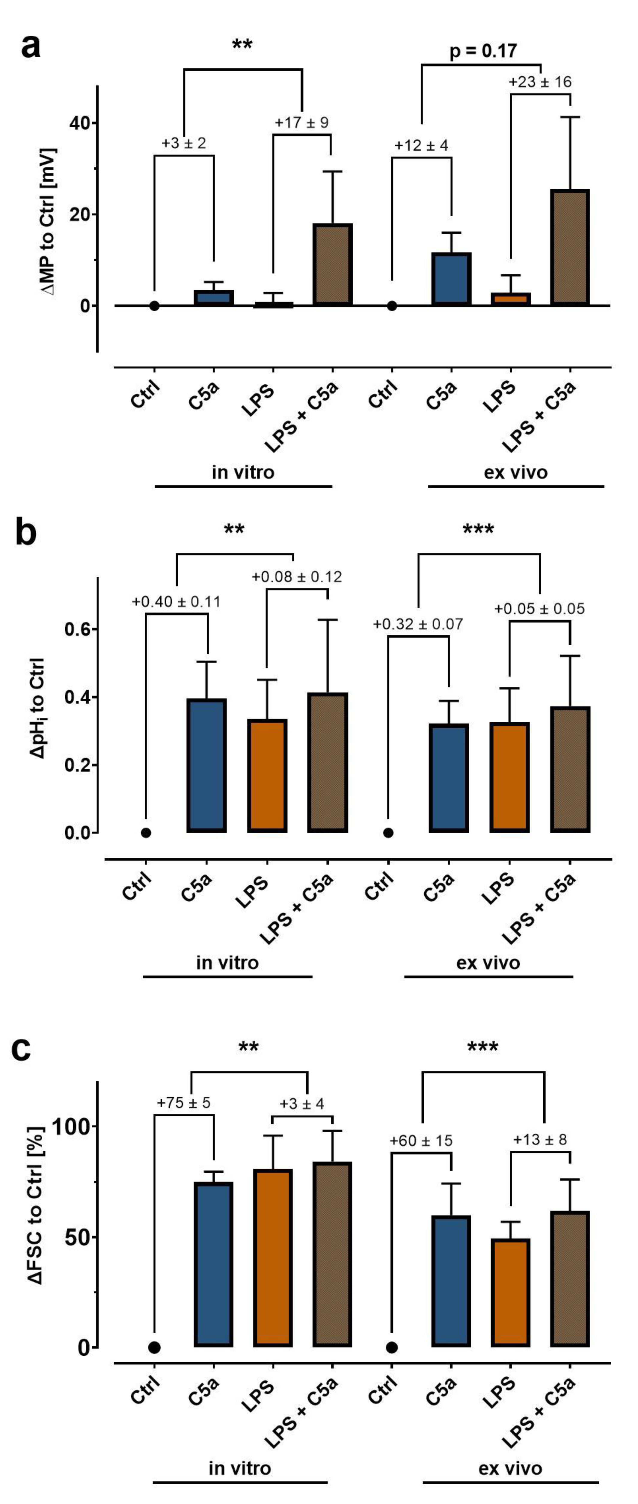 Biomedicines 09 01504 g006 550