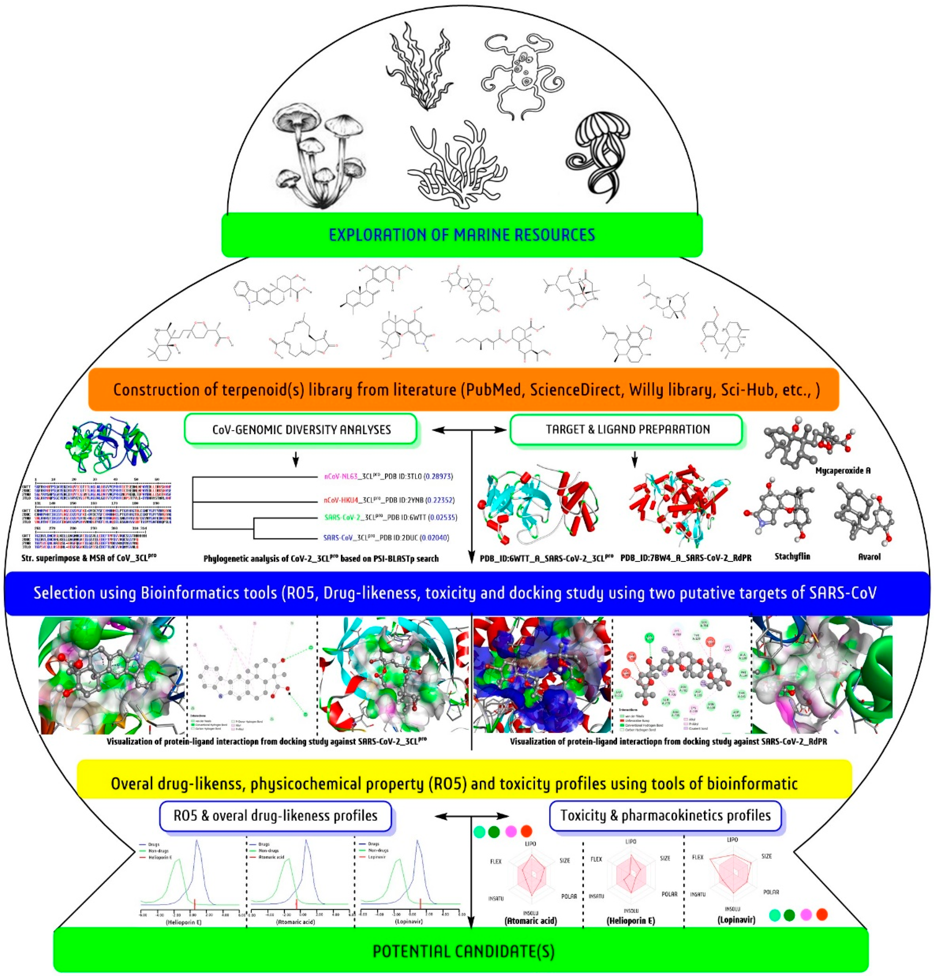 Biomedicines 09 01505 g001