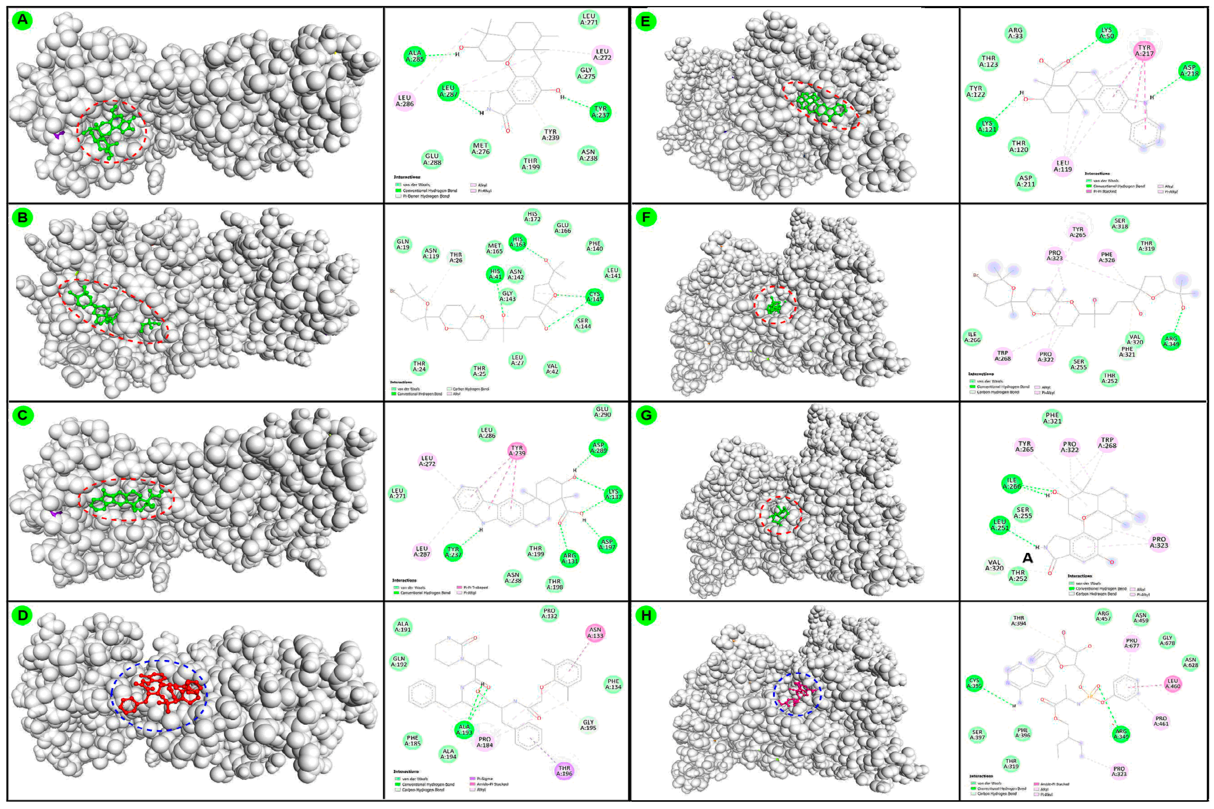 Biomedicines 09 01505 g003