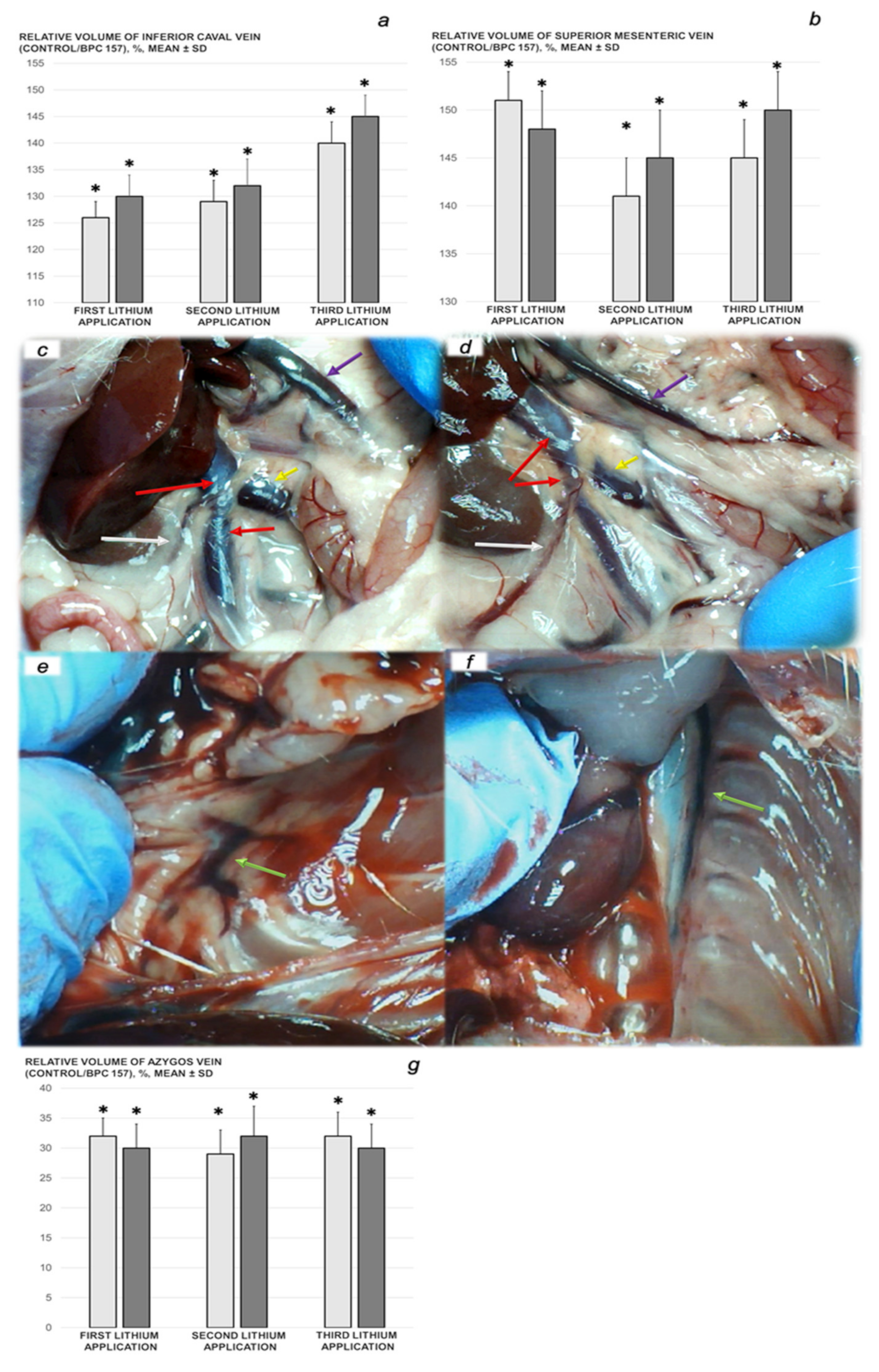 Biomedicines 09 01506 g003