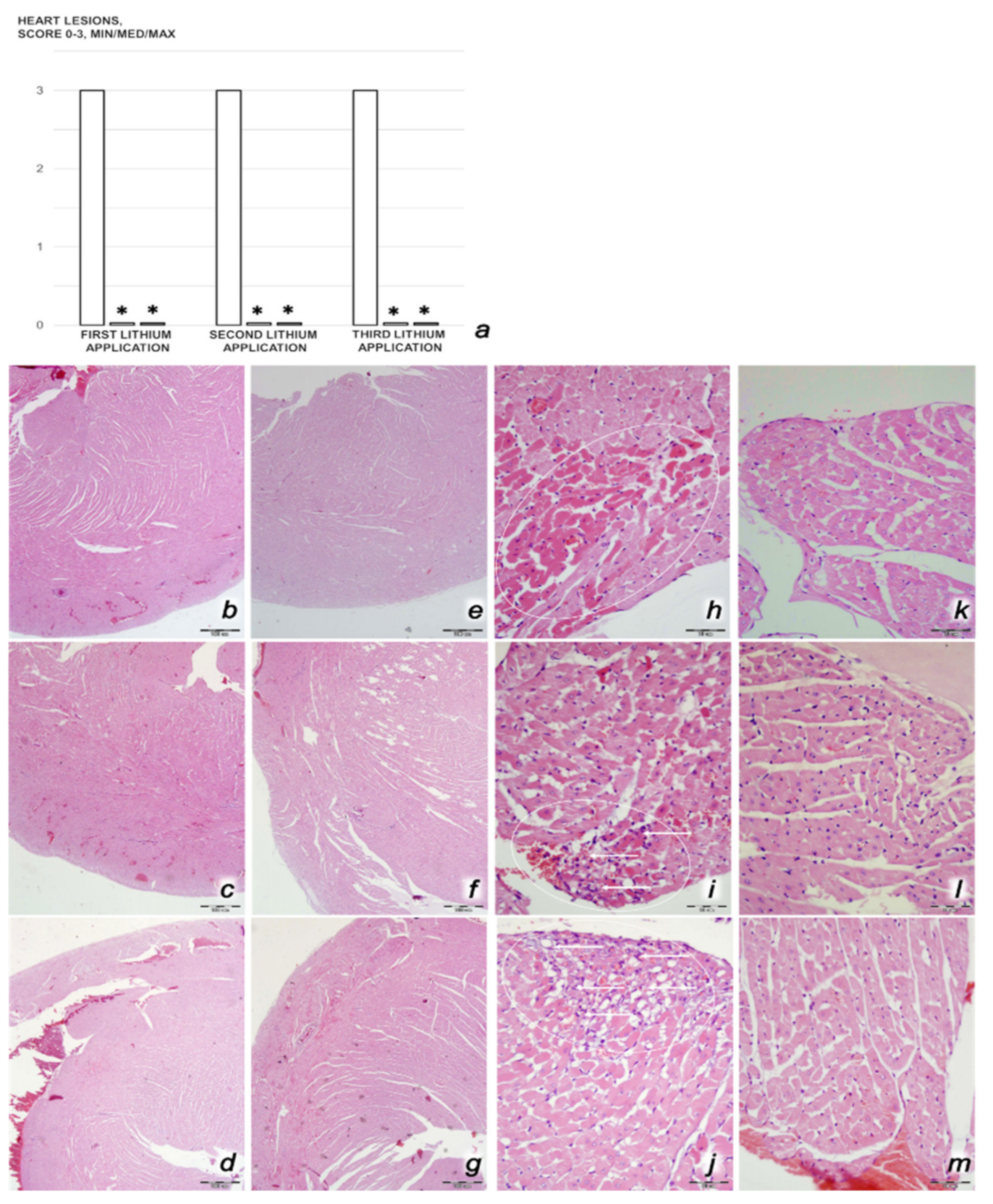 Biomedicines 09 01506 g004
