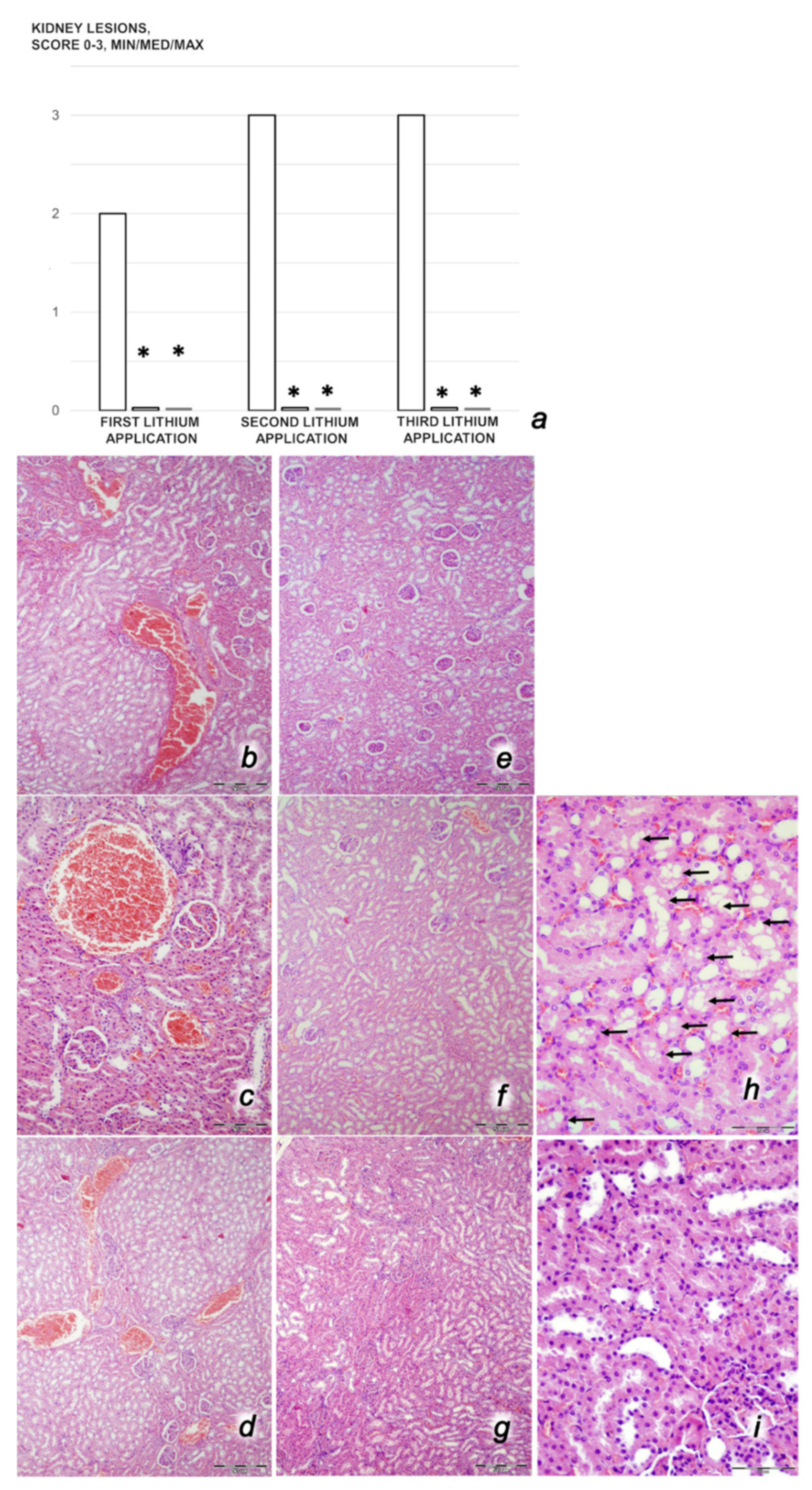 Biomedicines 09 01506 g007