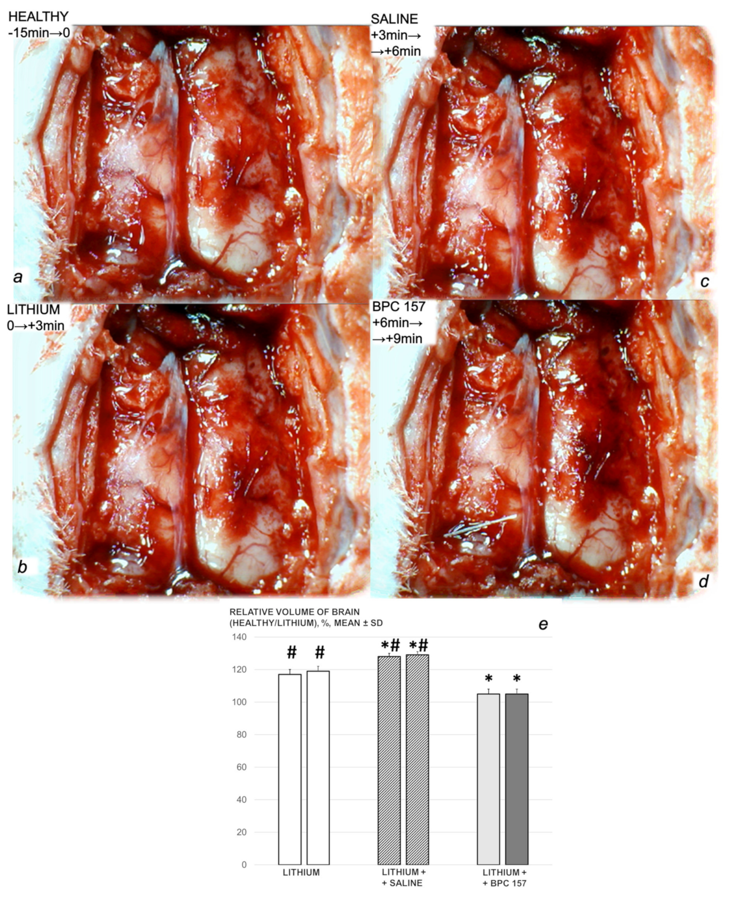Biomedicines 09 01506 g010