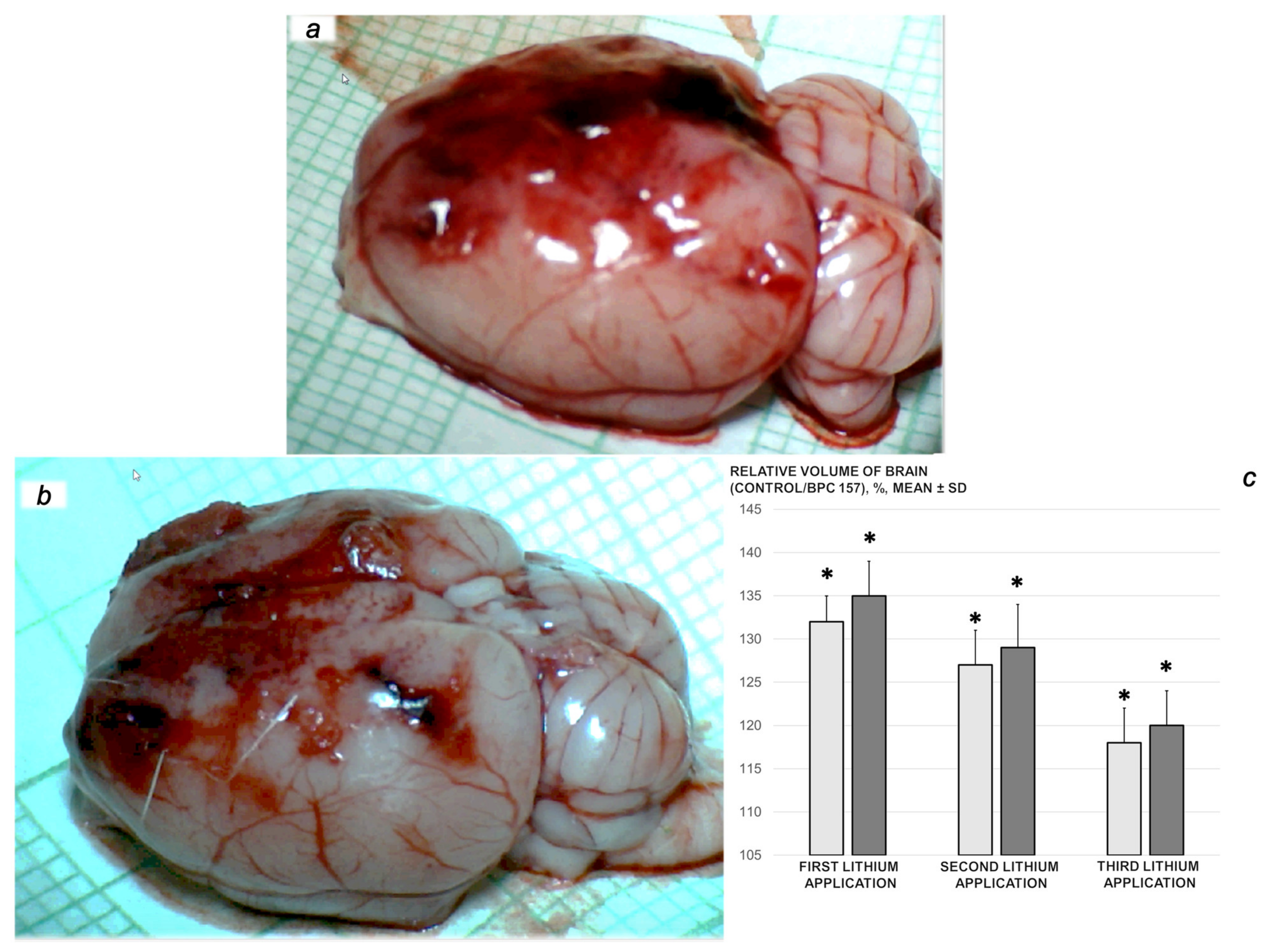 Biomedicines 09 01506 g012