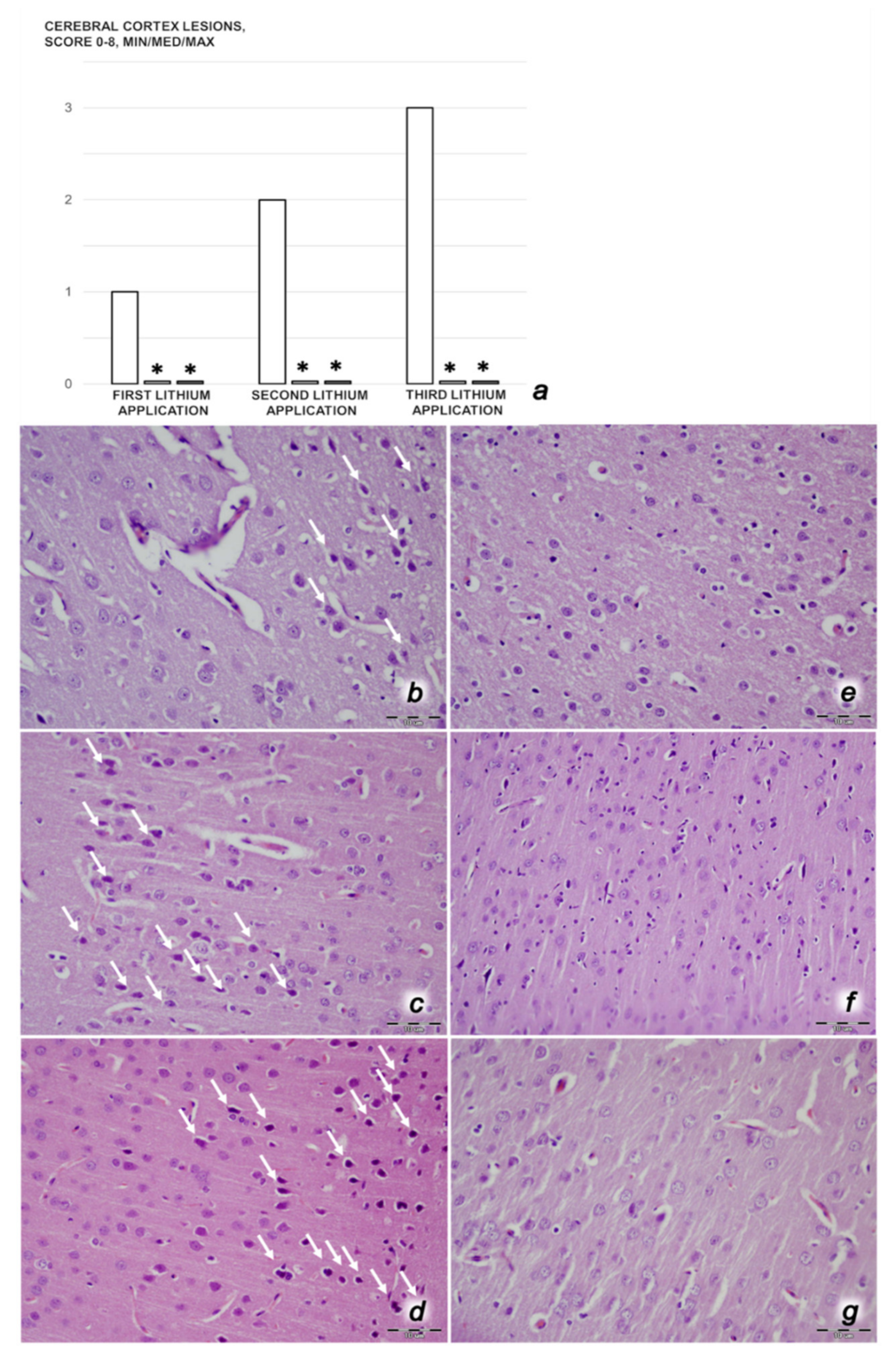 Biomedicines 09 01506 g014