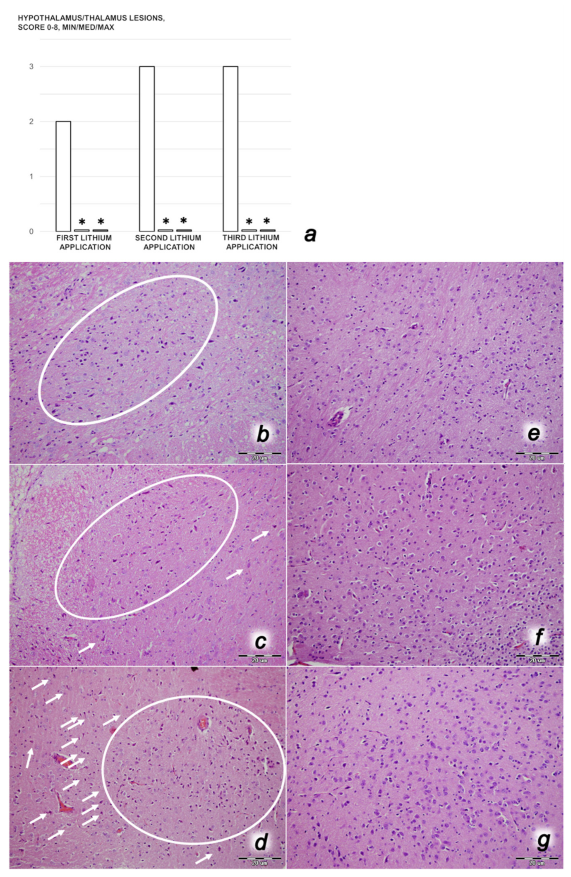 Biomedicines 09 01506 g016