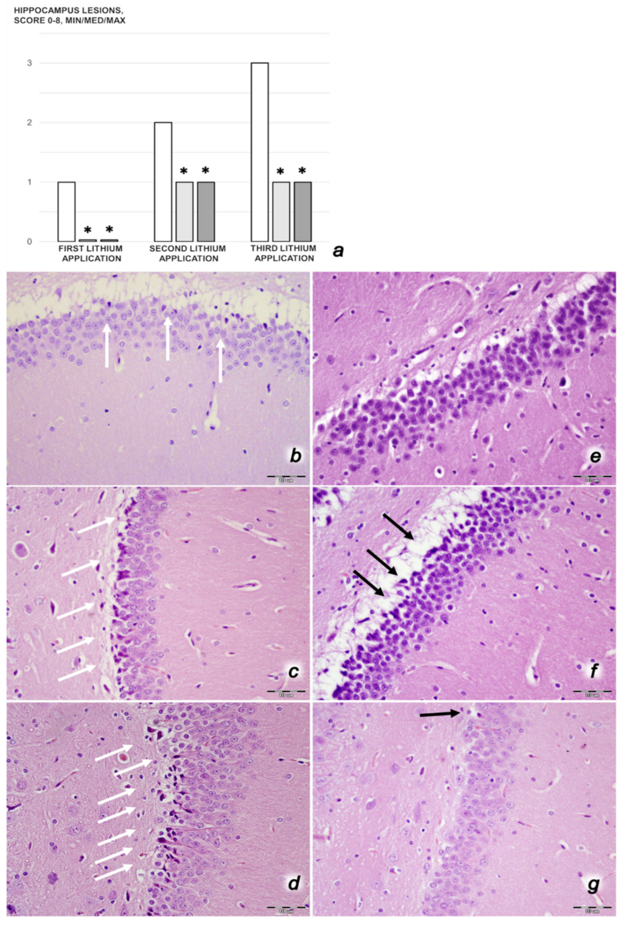 Biomedicines 09 01506 g017