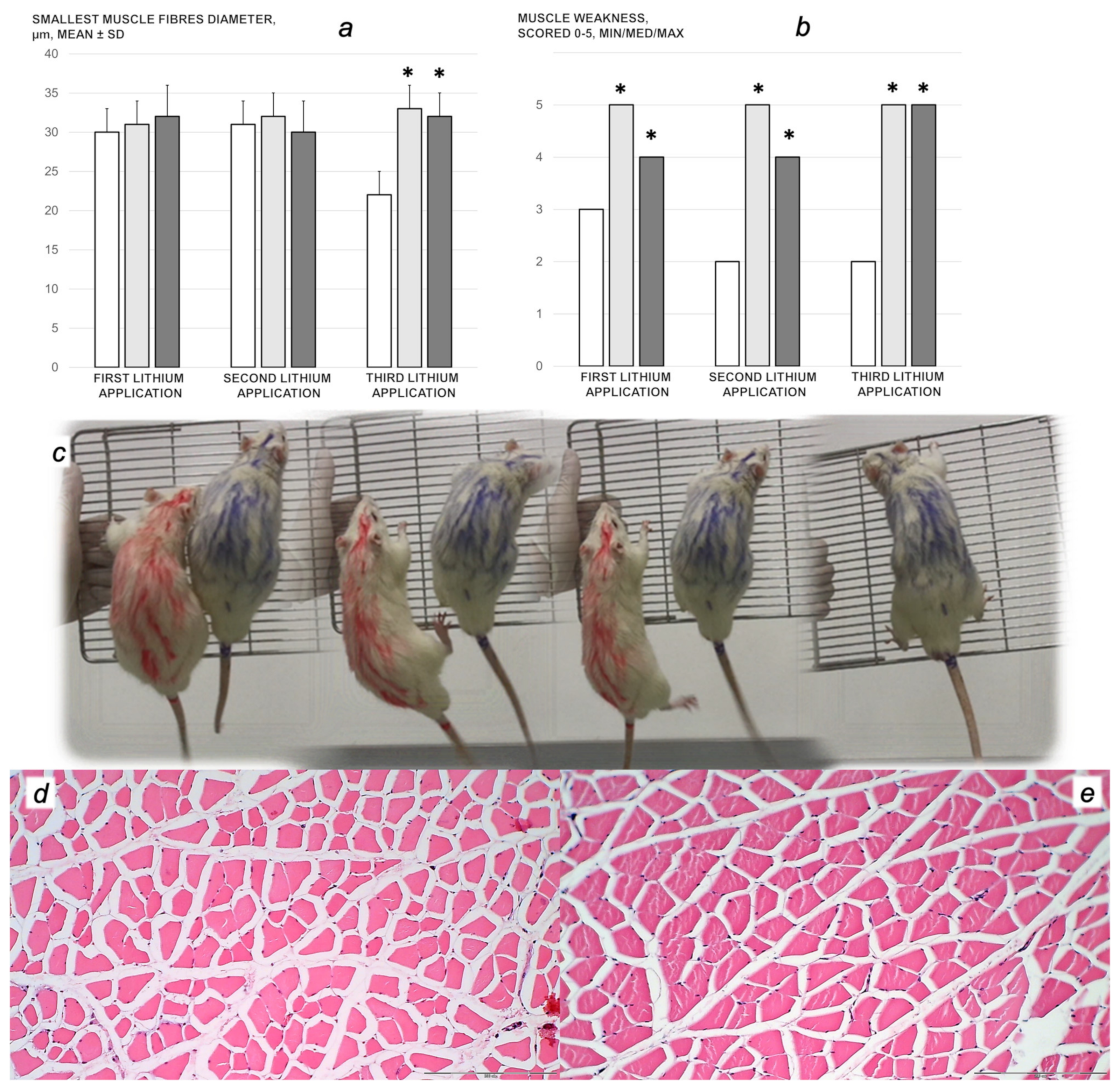 Biomedicines 09 01506 g019