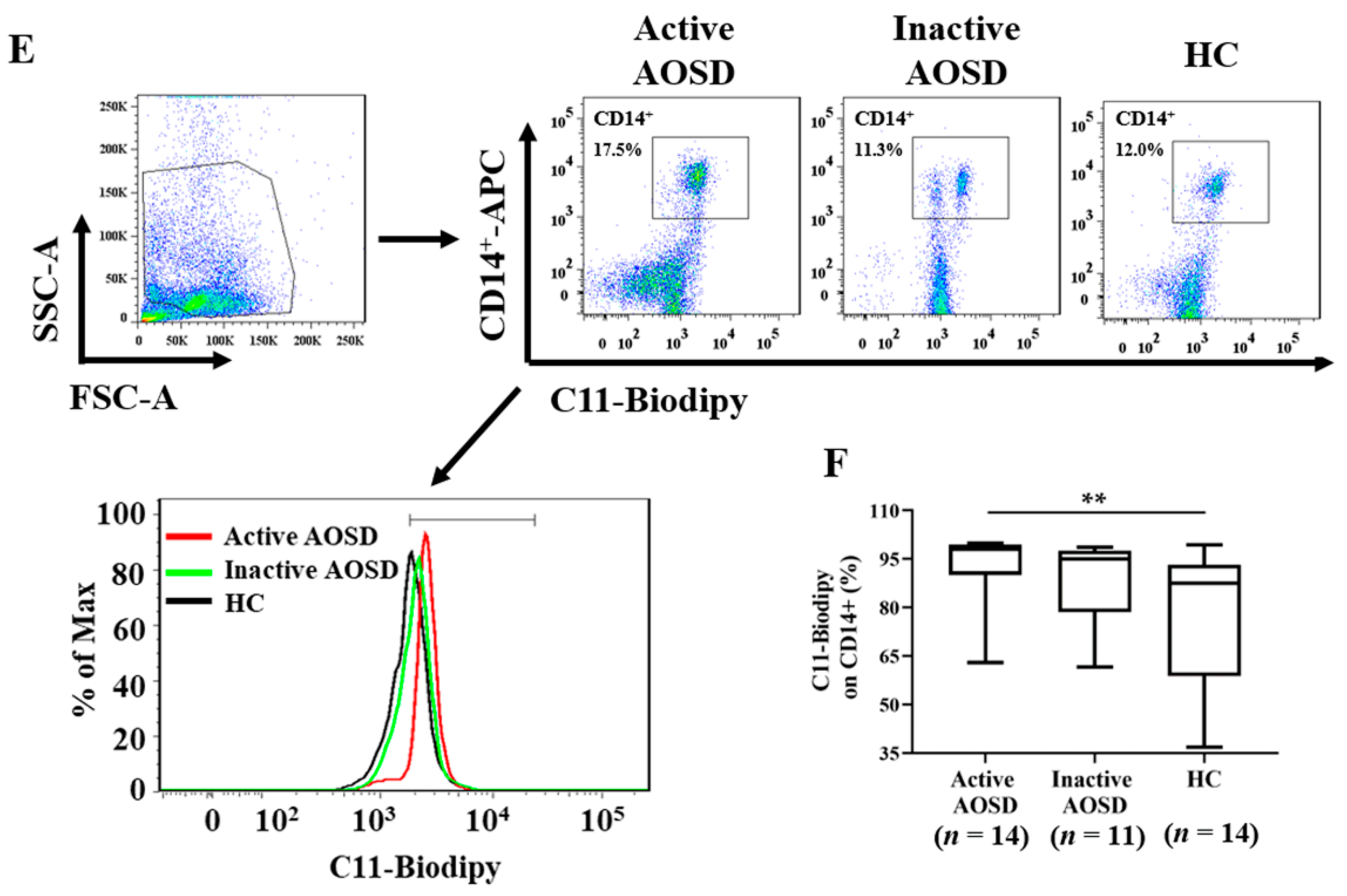 Biomedicines 09 01508 g001b