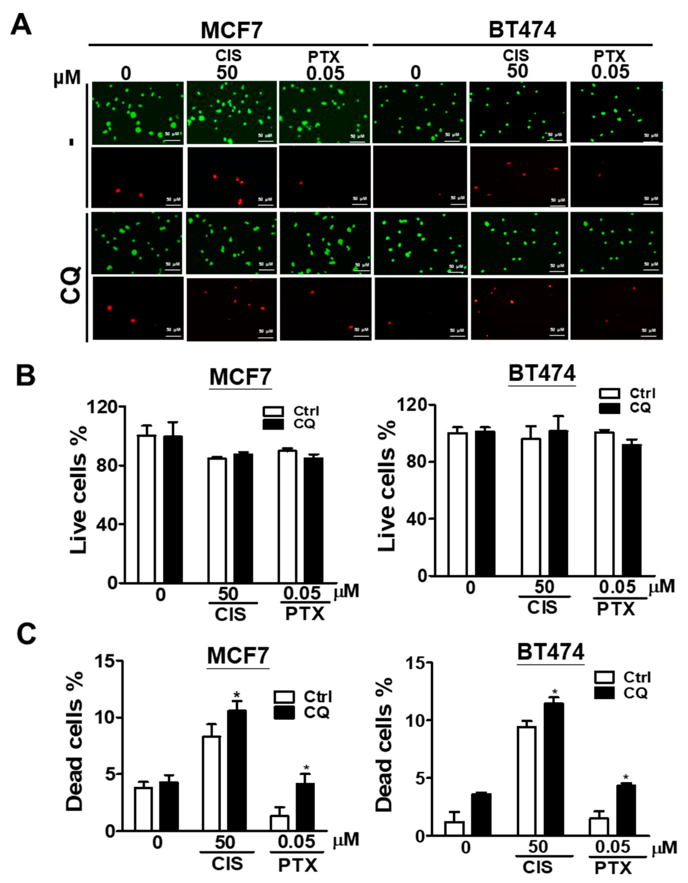 Biomedicines 09 01514 g004