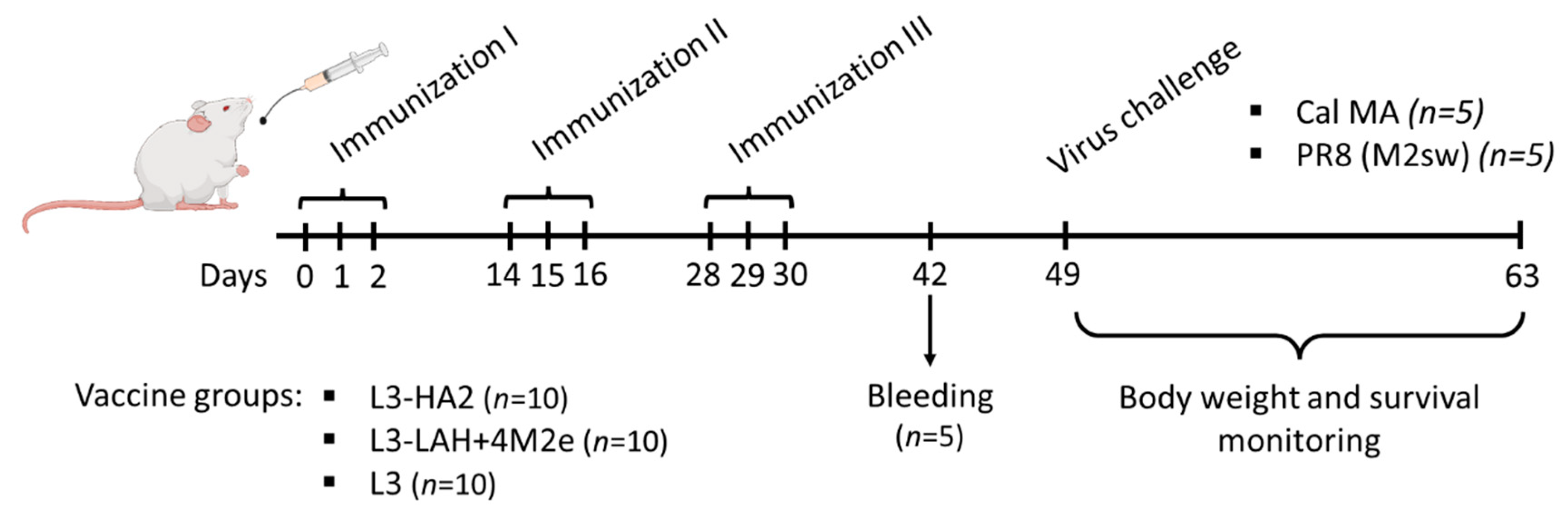Biomedicines 09 01515 g001 Biomedicines 09 01515 g001