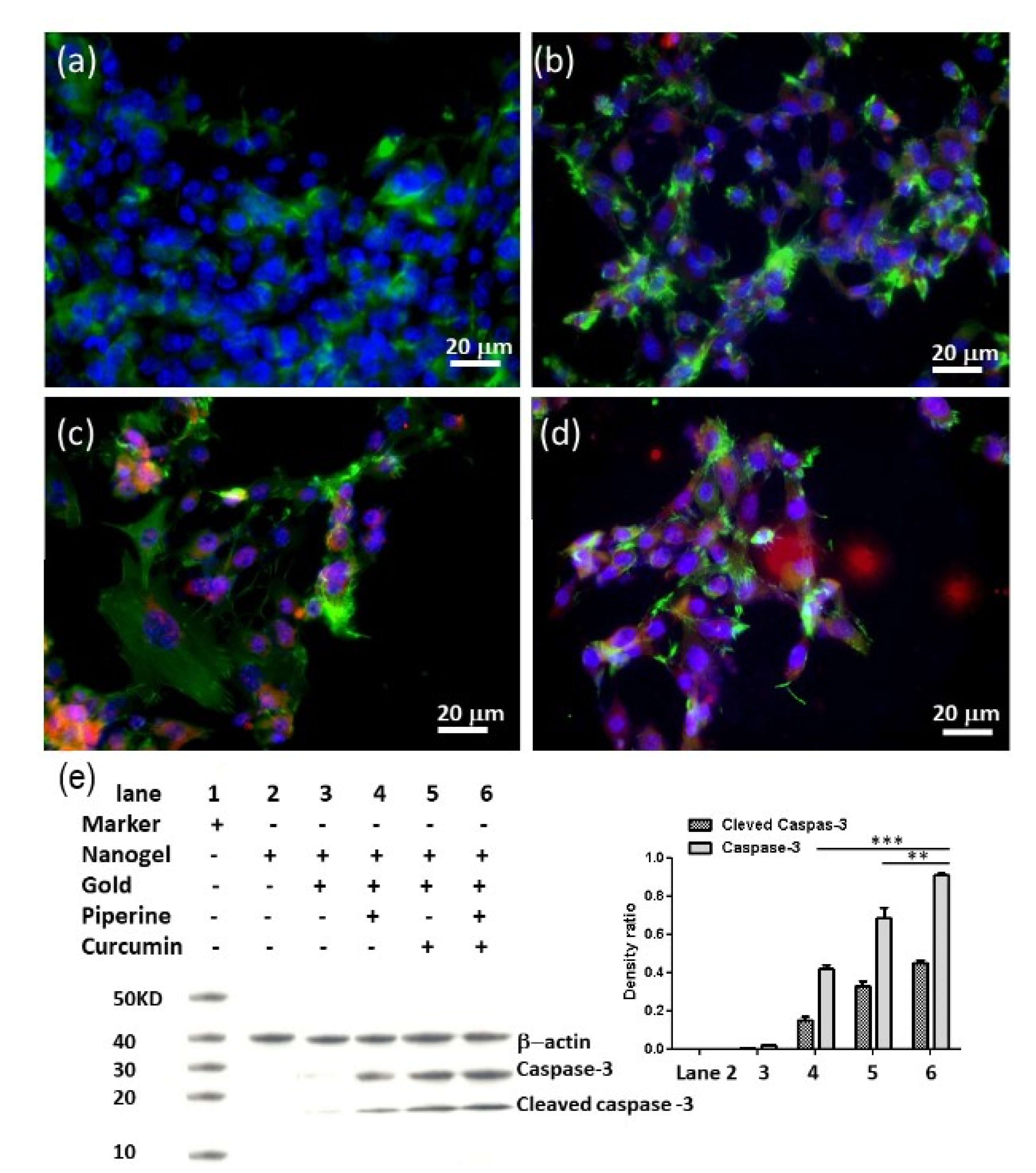 Biomedicines 09 01516 g005 550