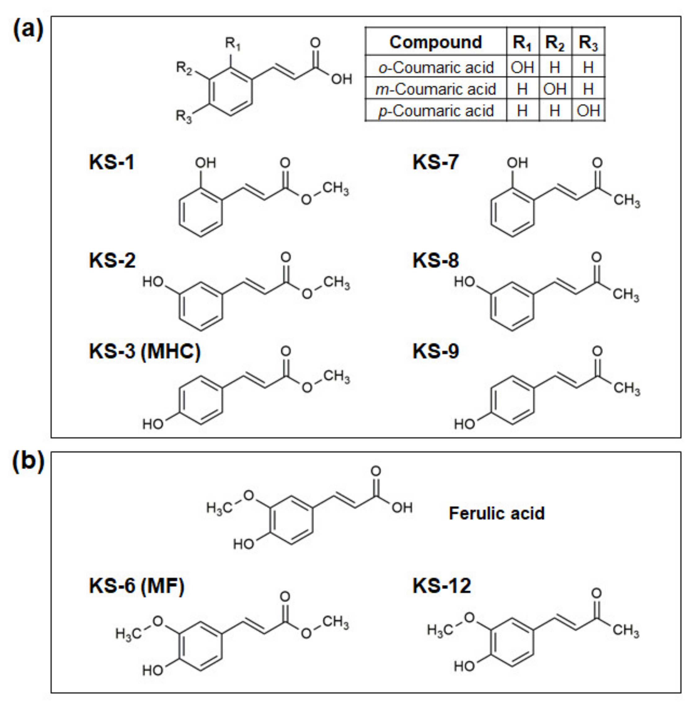Biomedicines 09 01517 g001 Biomedicines 09 01517 g001