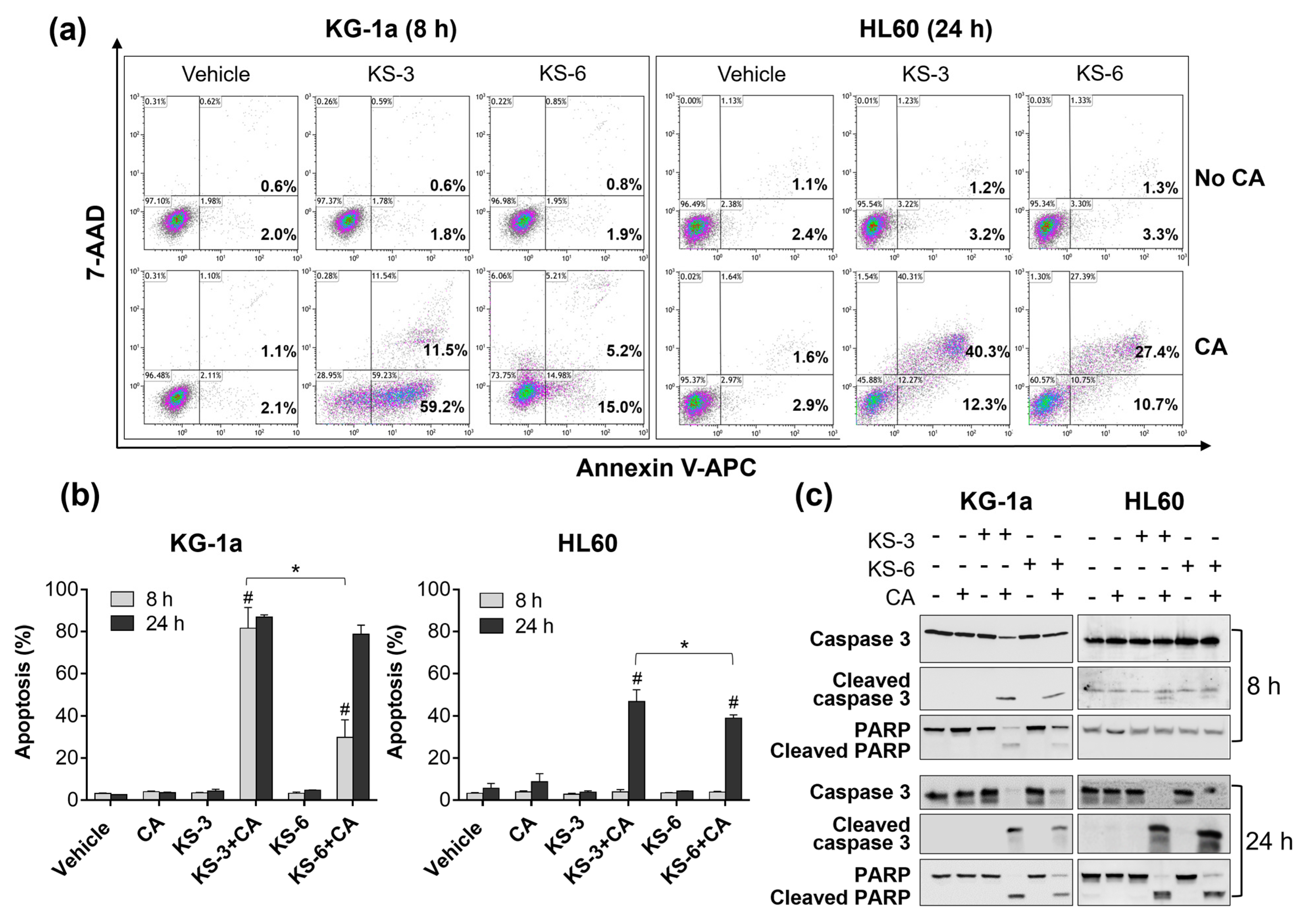 Biomedicines 09 01517 g004 Biomedicines 09 01517 g004