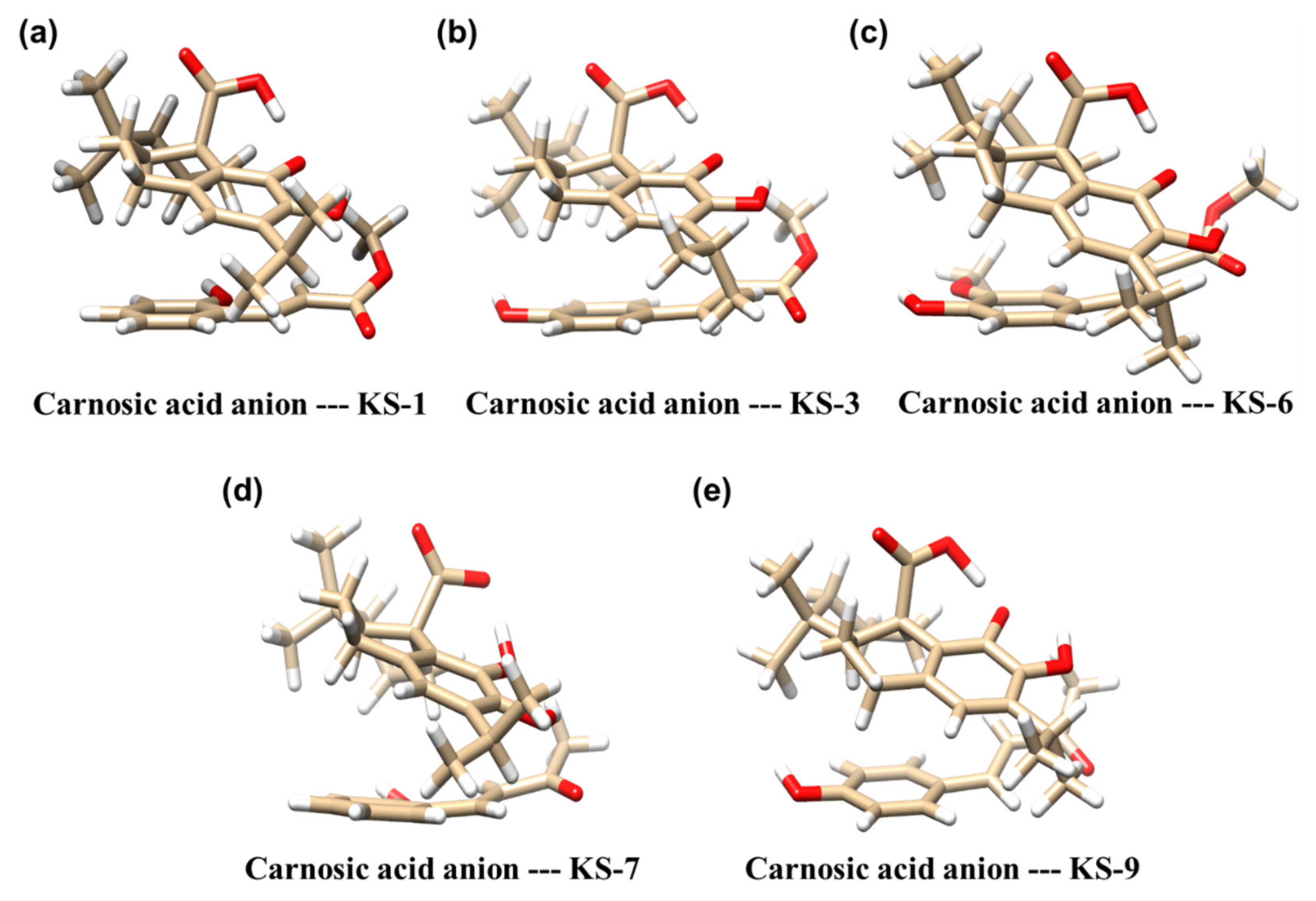 Biomedicines 09 01517 g007 Biomedicines 09 01517 g007