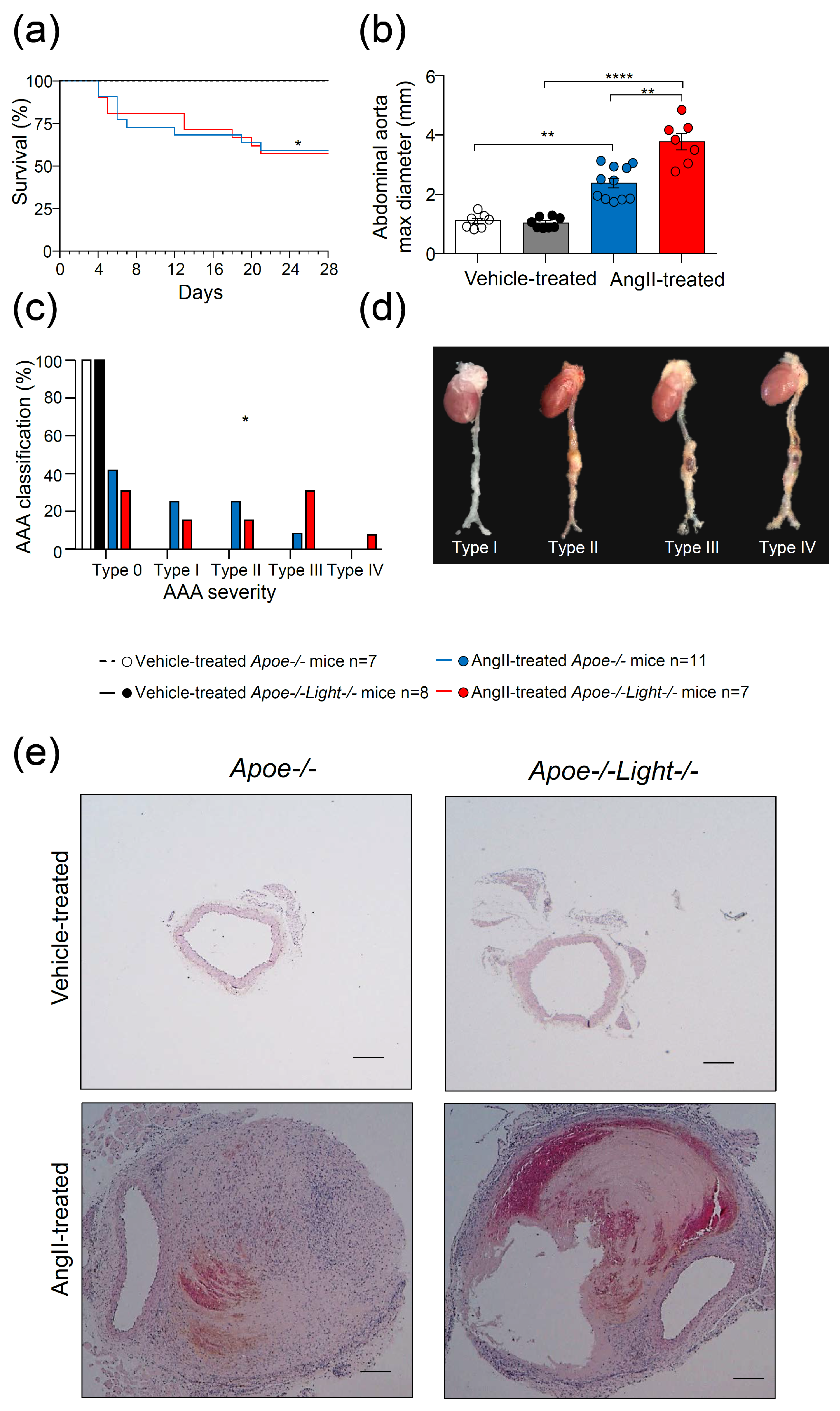 Biomedicines 09 01518 g001