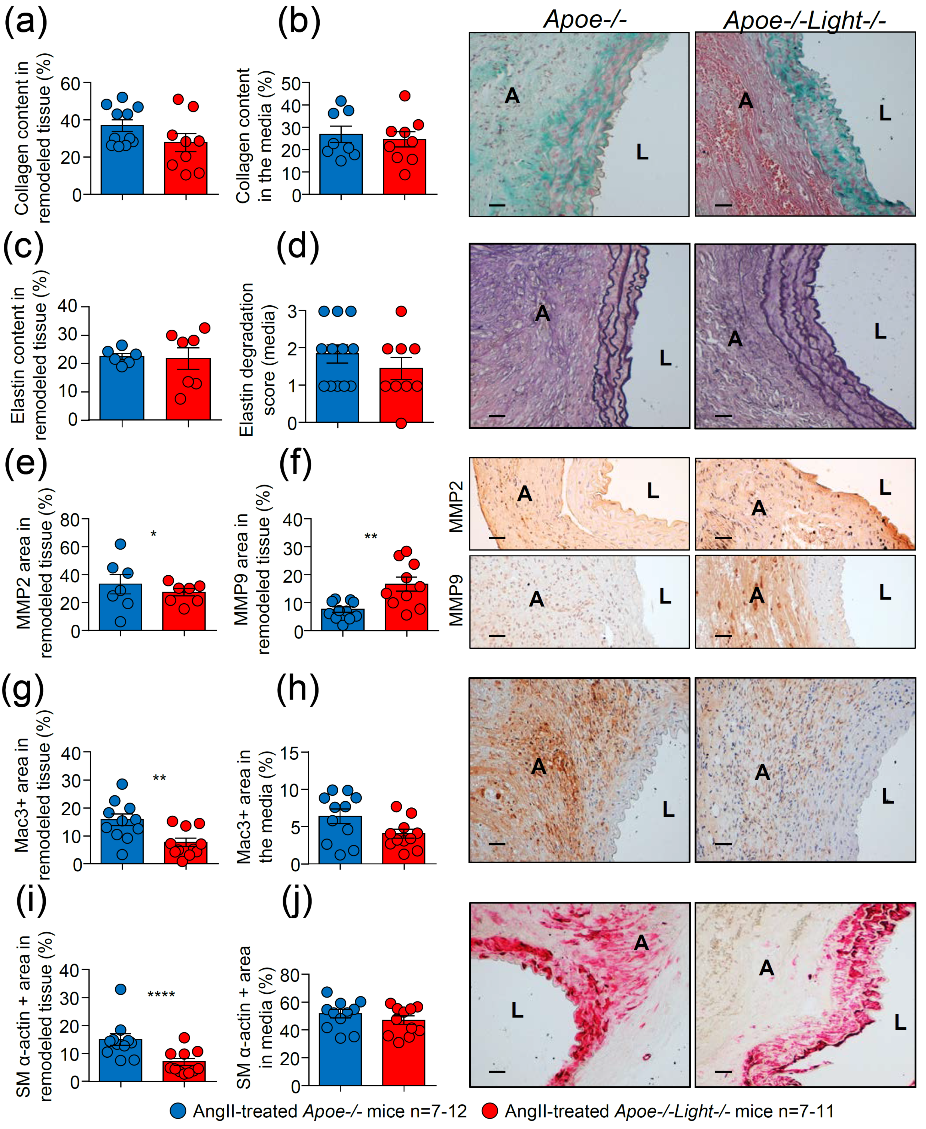Biomedicines 09 01518 g003