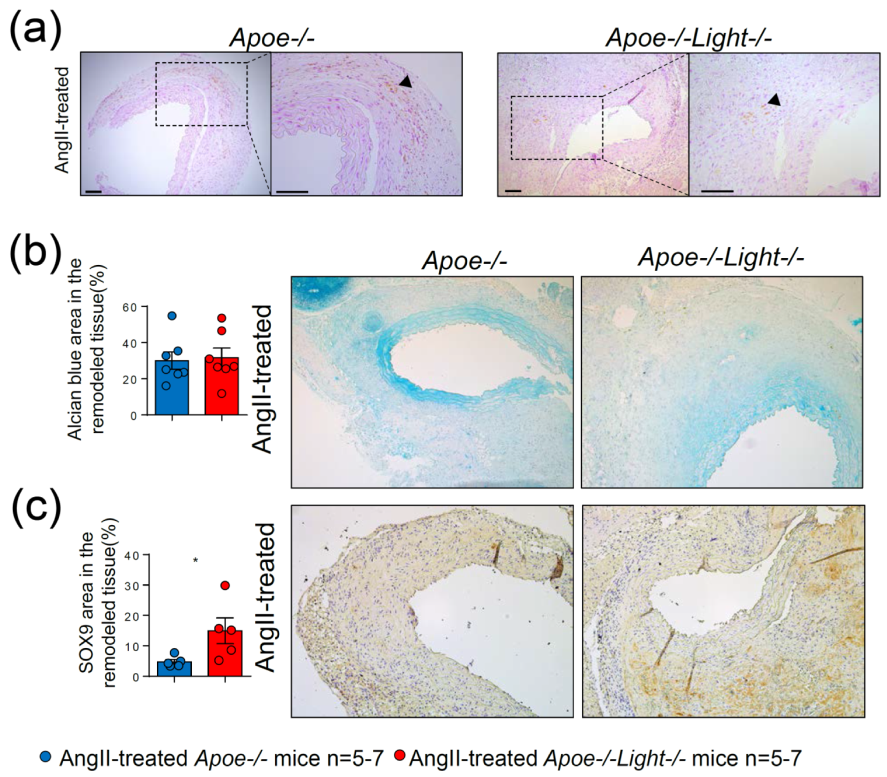 Biomedicines 09 01518 g005