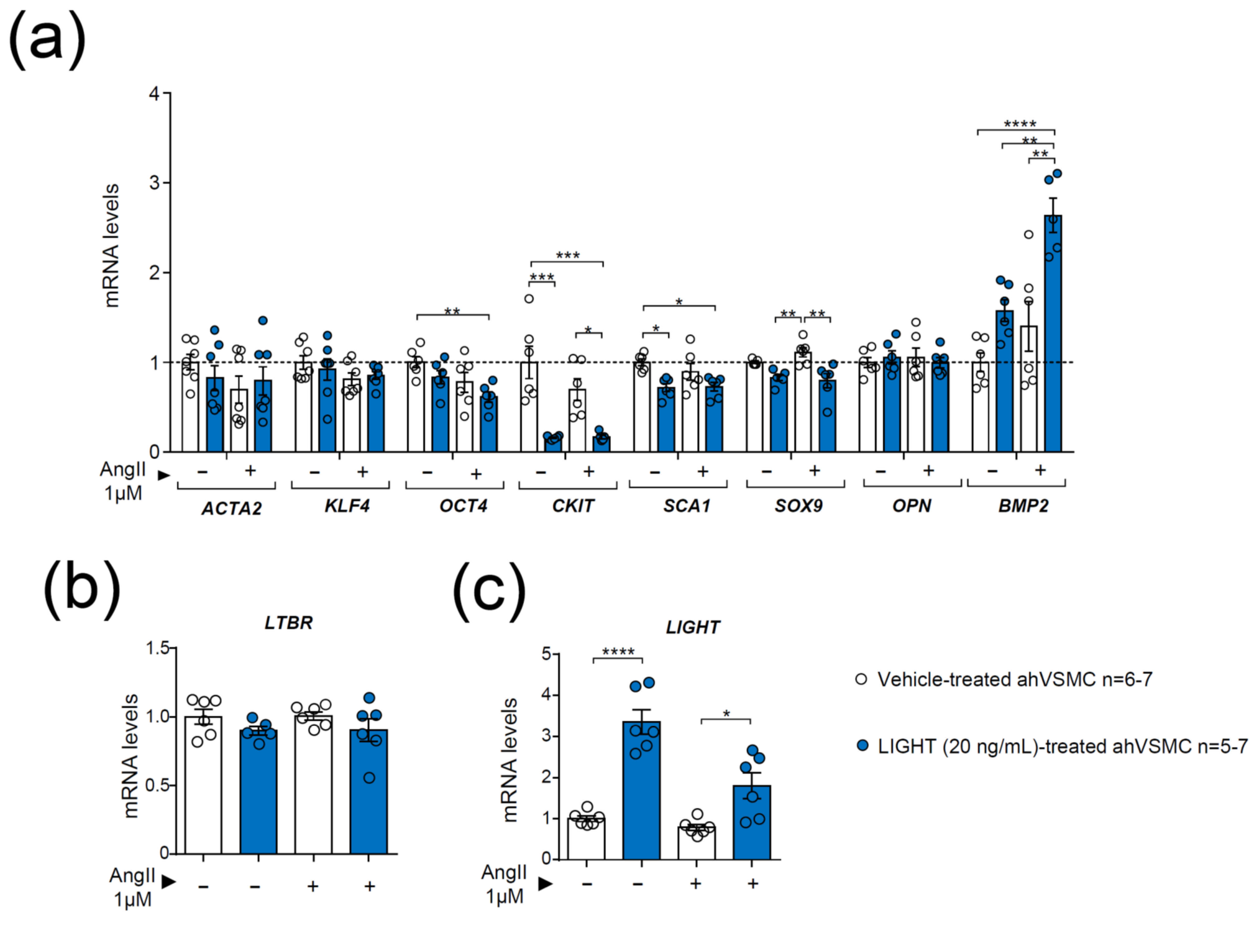 Biomedicines 09 01518 g006