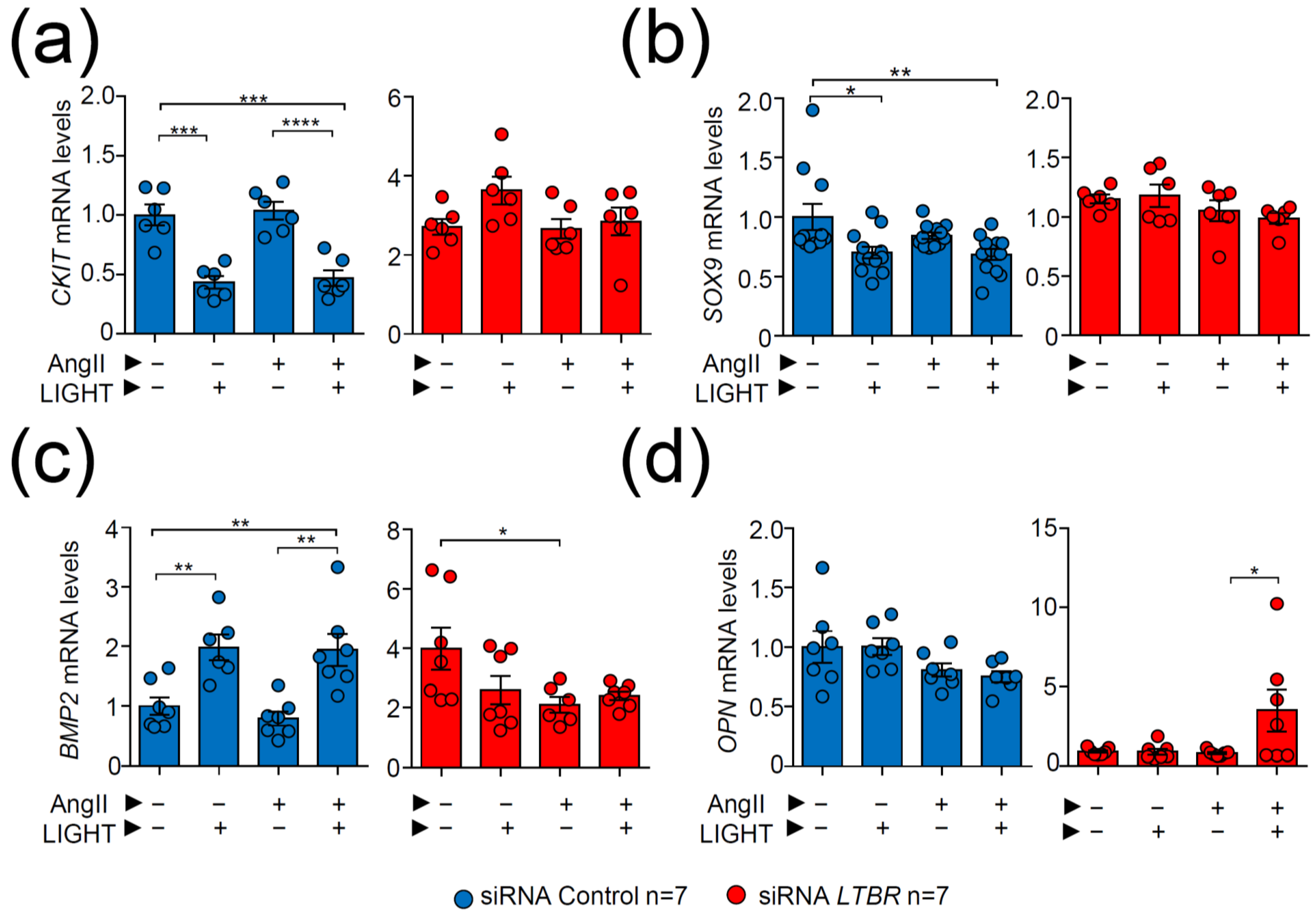 Biomedicines 09 01518 g007