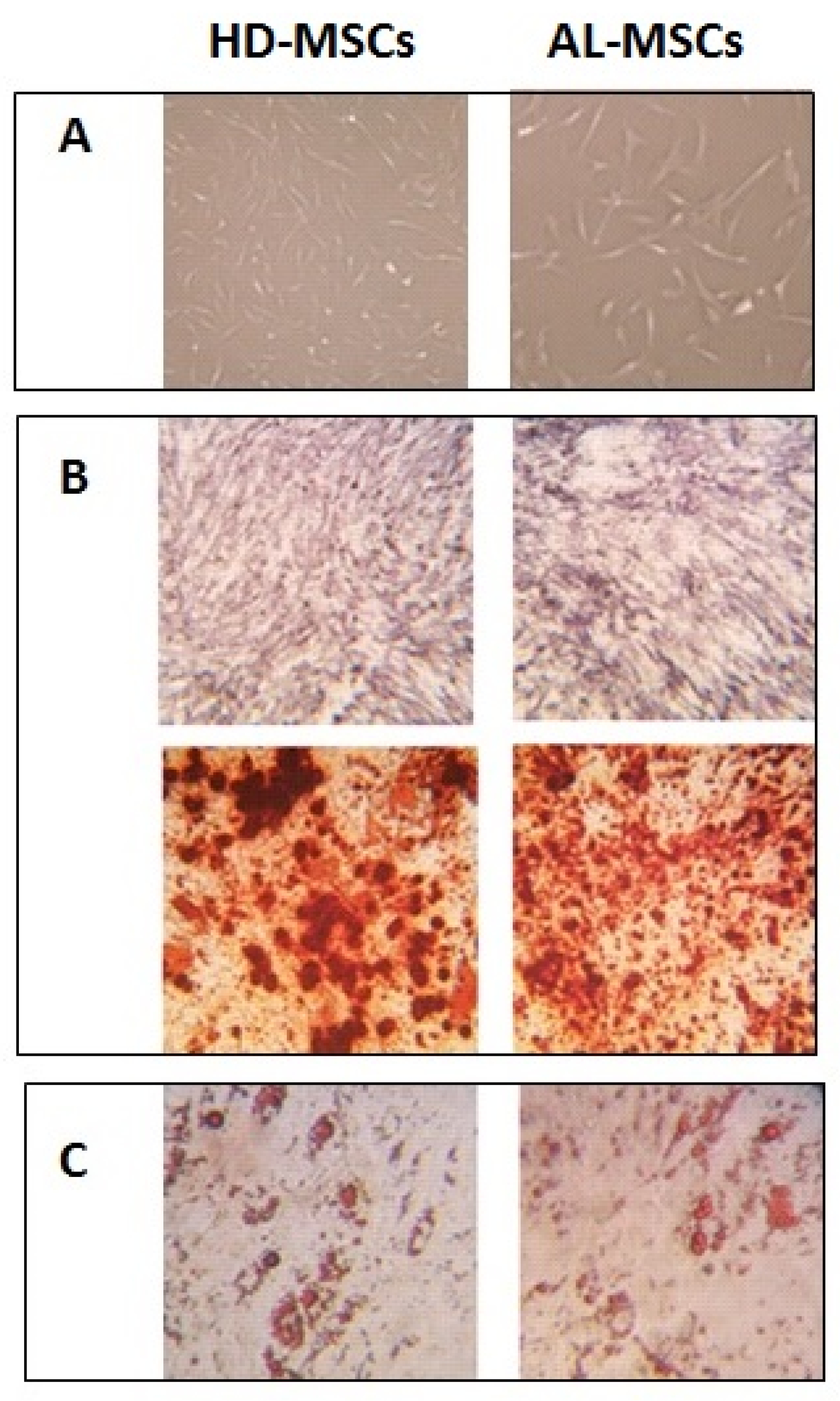 Biomedicines 09 01523 g001 550