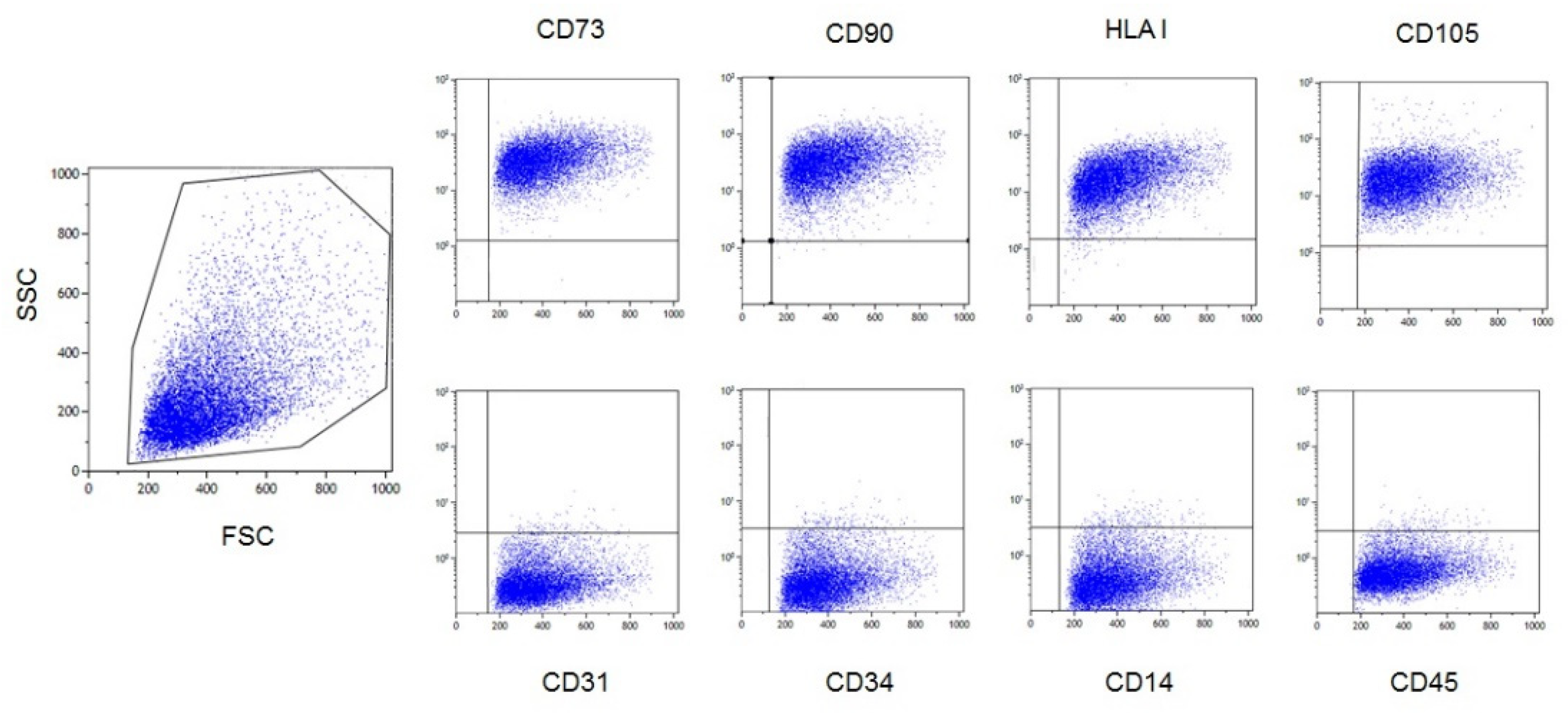 Biomedicines 09 01523 g002 550