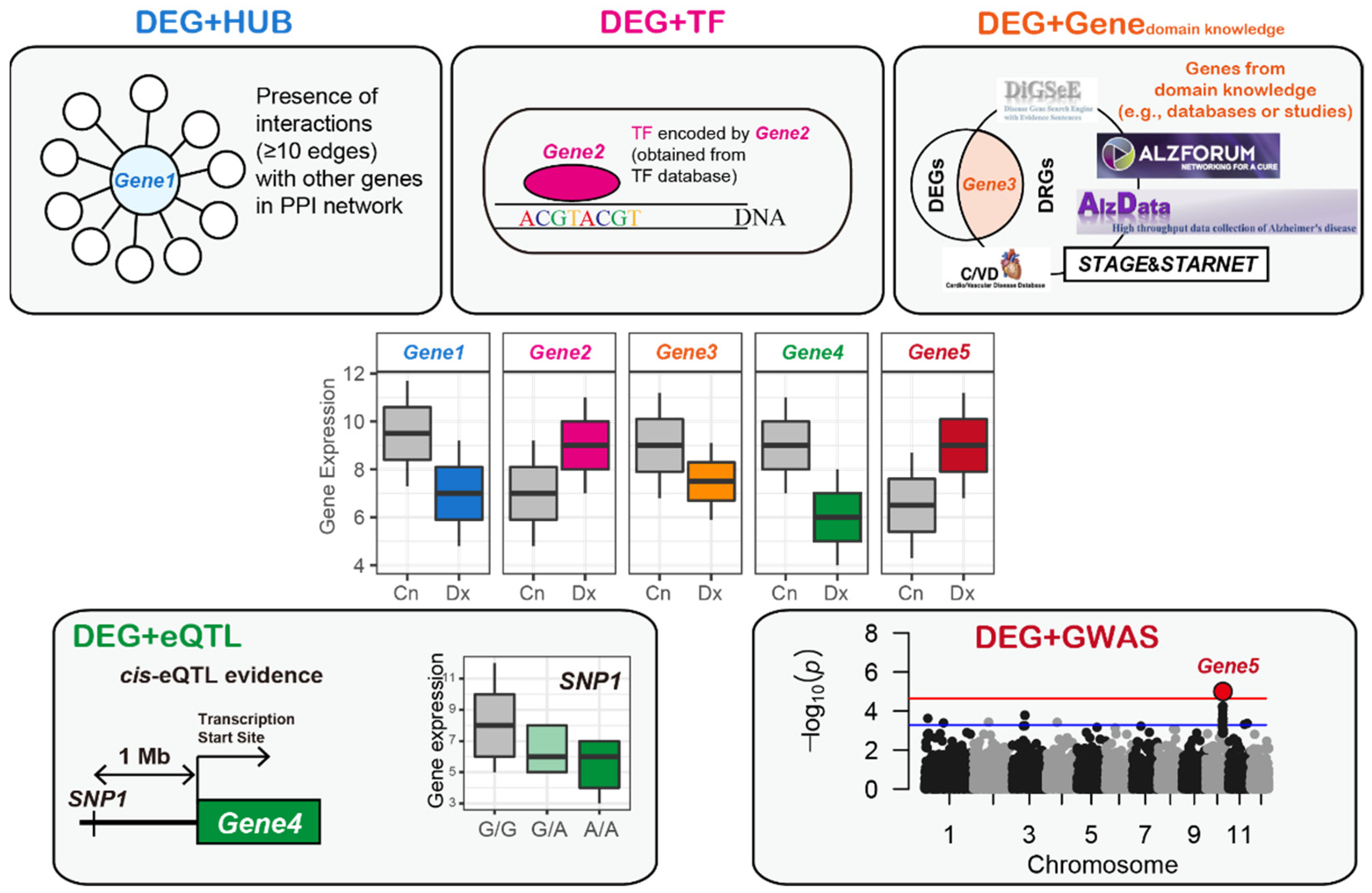 Biomedicines 09 01525 g001 Biomedicines 09 01525 g001