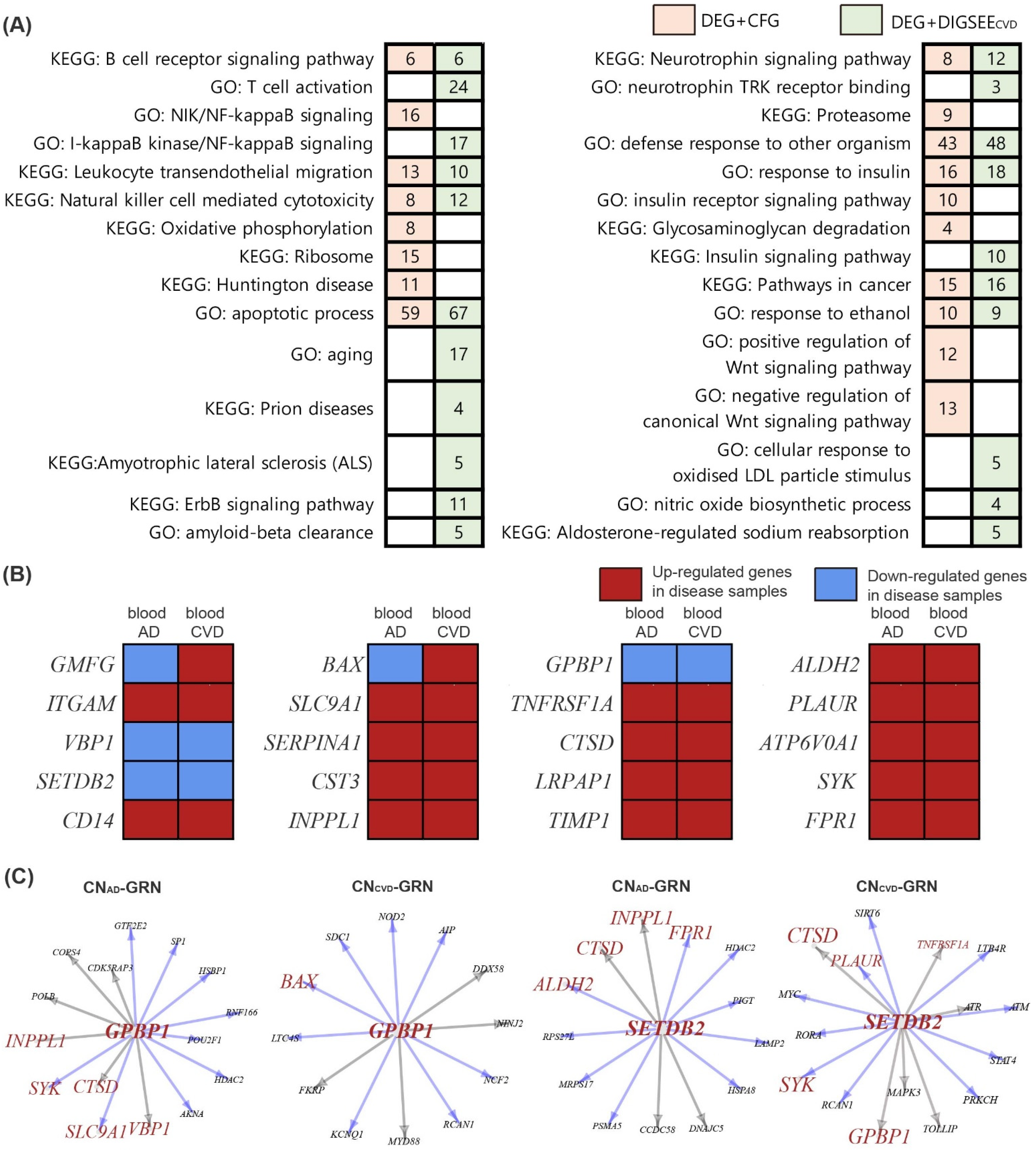 Biomedicines 09 01525 g007 Biomedicines 09 01525 g007