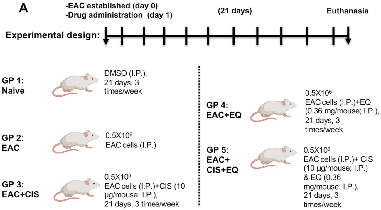 Biomedicines 09 01526 g001 Biomedicines 09 01526 g001