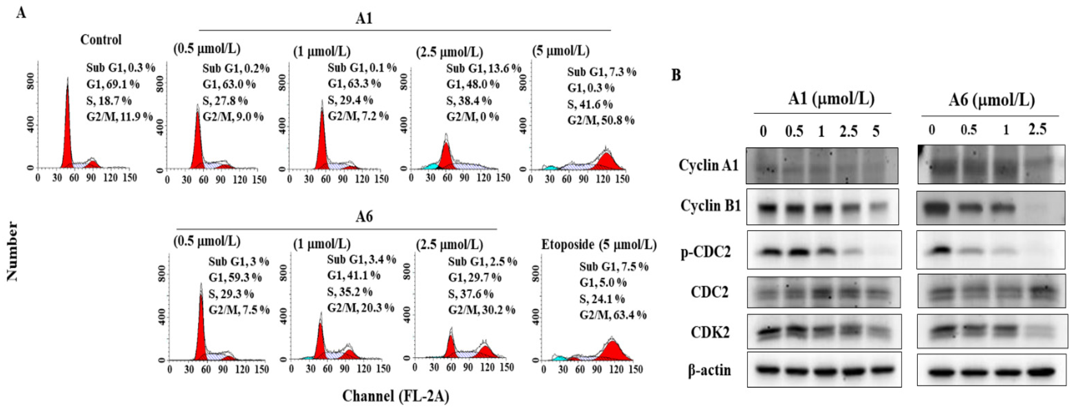 Biomedicines 09 01527 g003