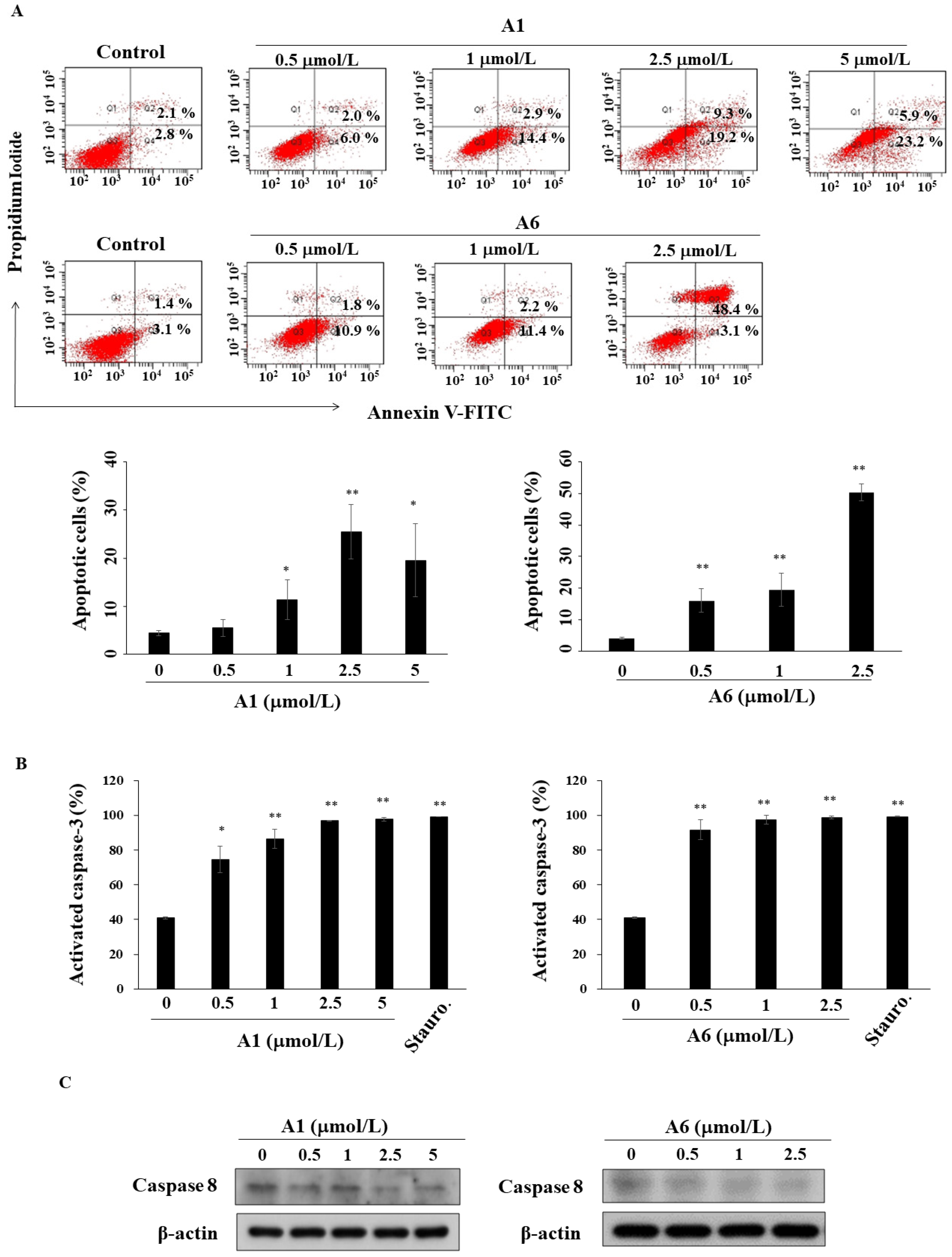 Biomedicines 09 01527 g004