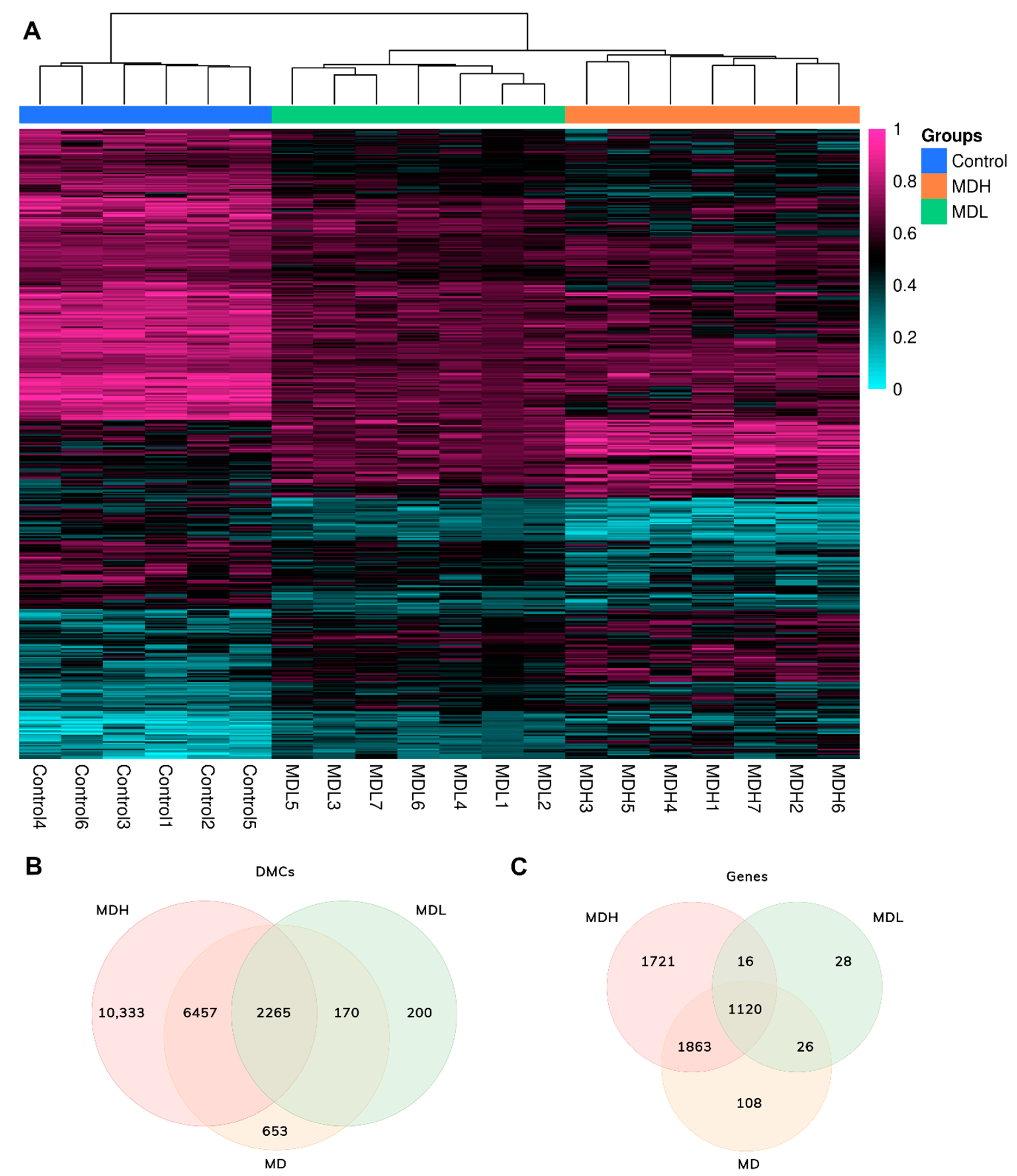 Biomedicines 09 01530 g002 550