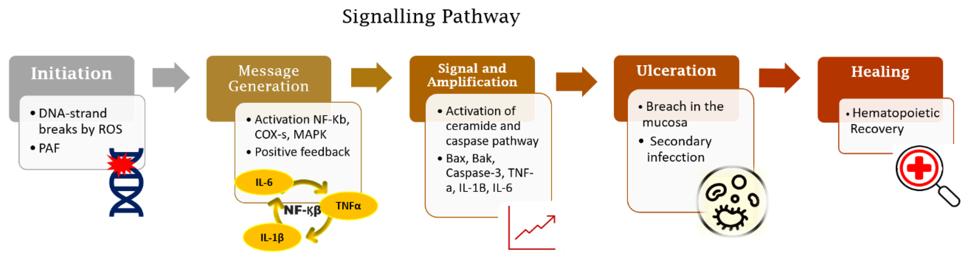 Biomedicines 09 01531 g001 Biomedicines 09 01531 g001