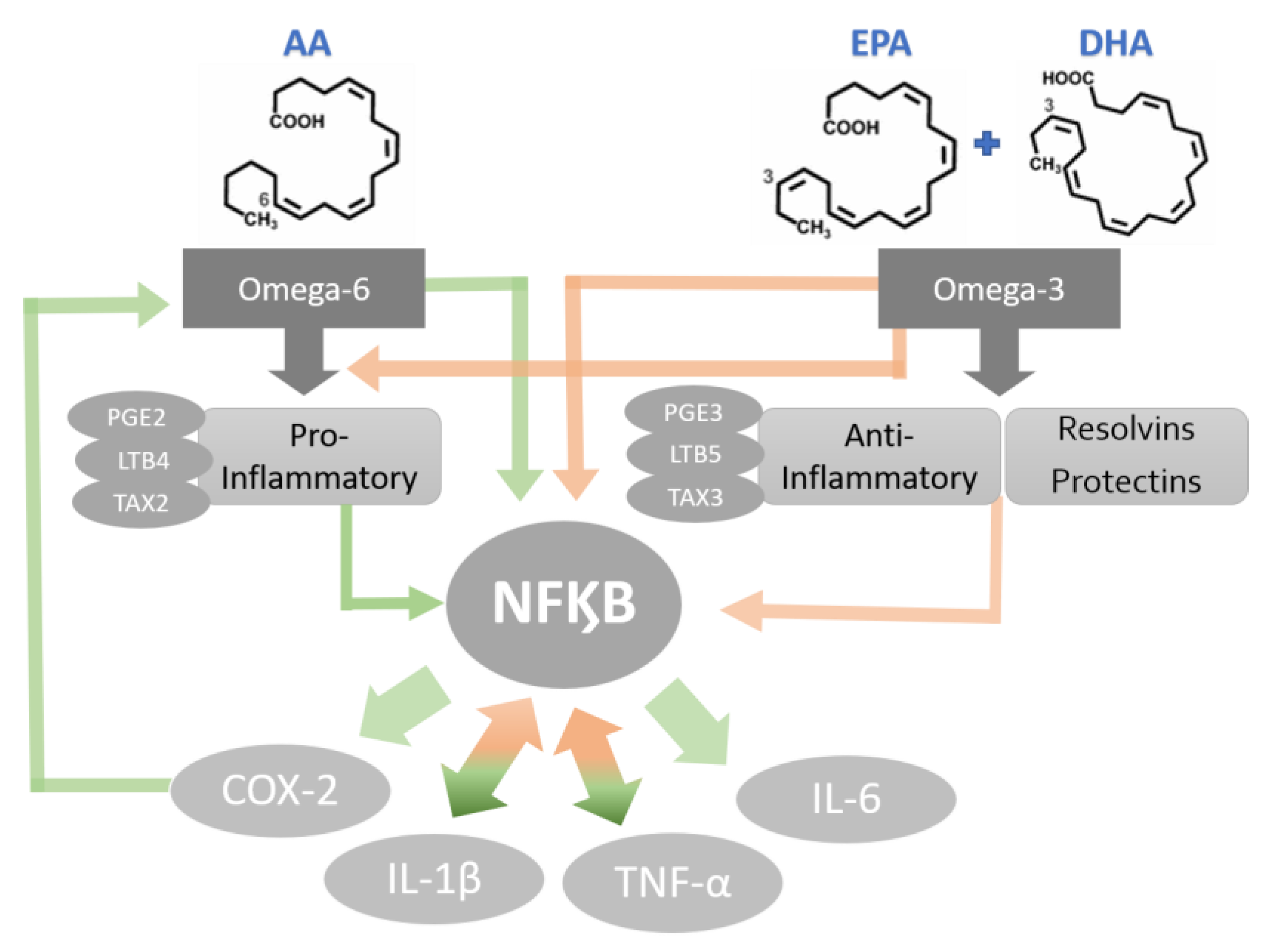 Biomedicines 09 01531 g003 Biomedicines 09 01531 g003