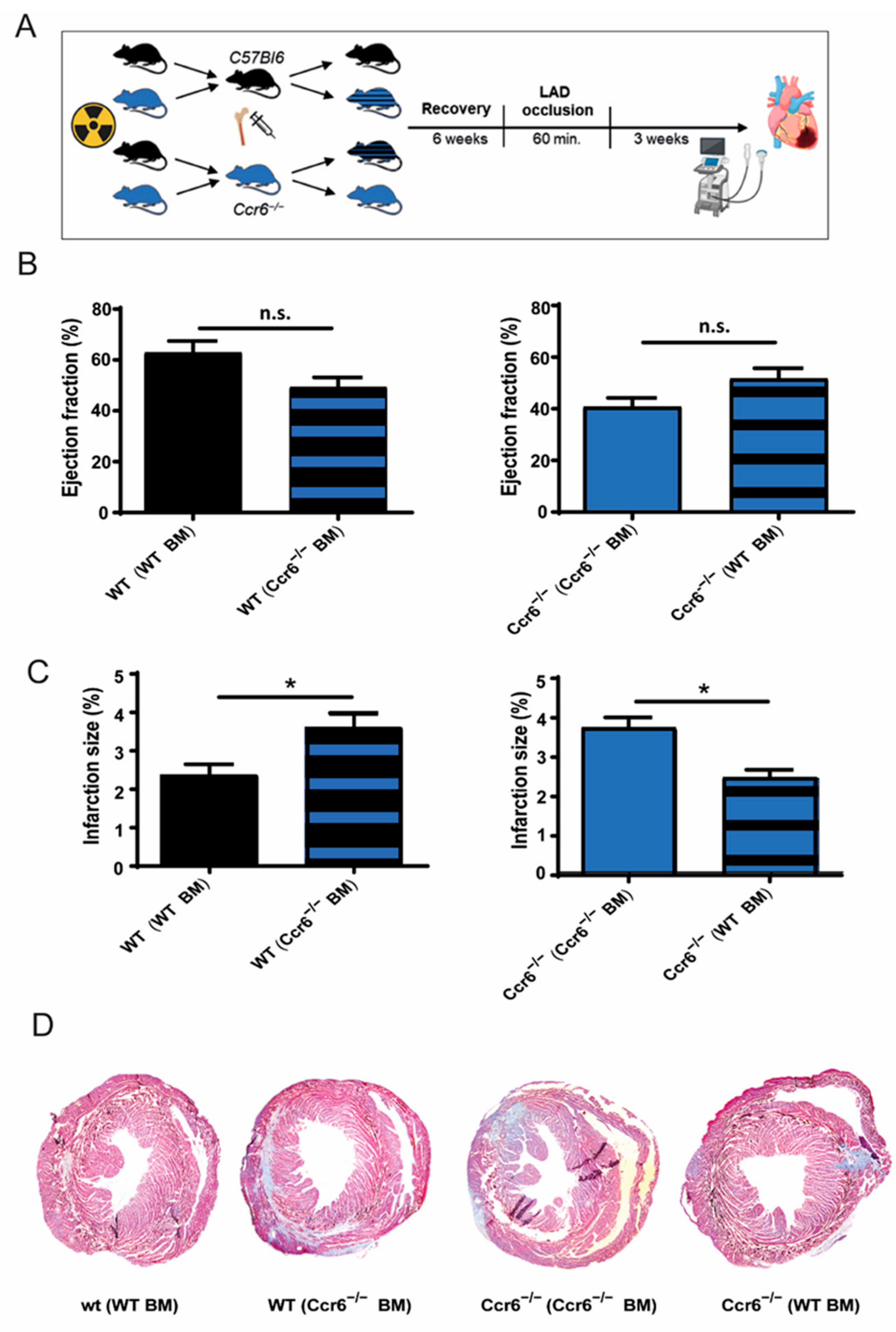 Biomedicines 09 01532 g002