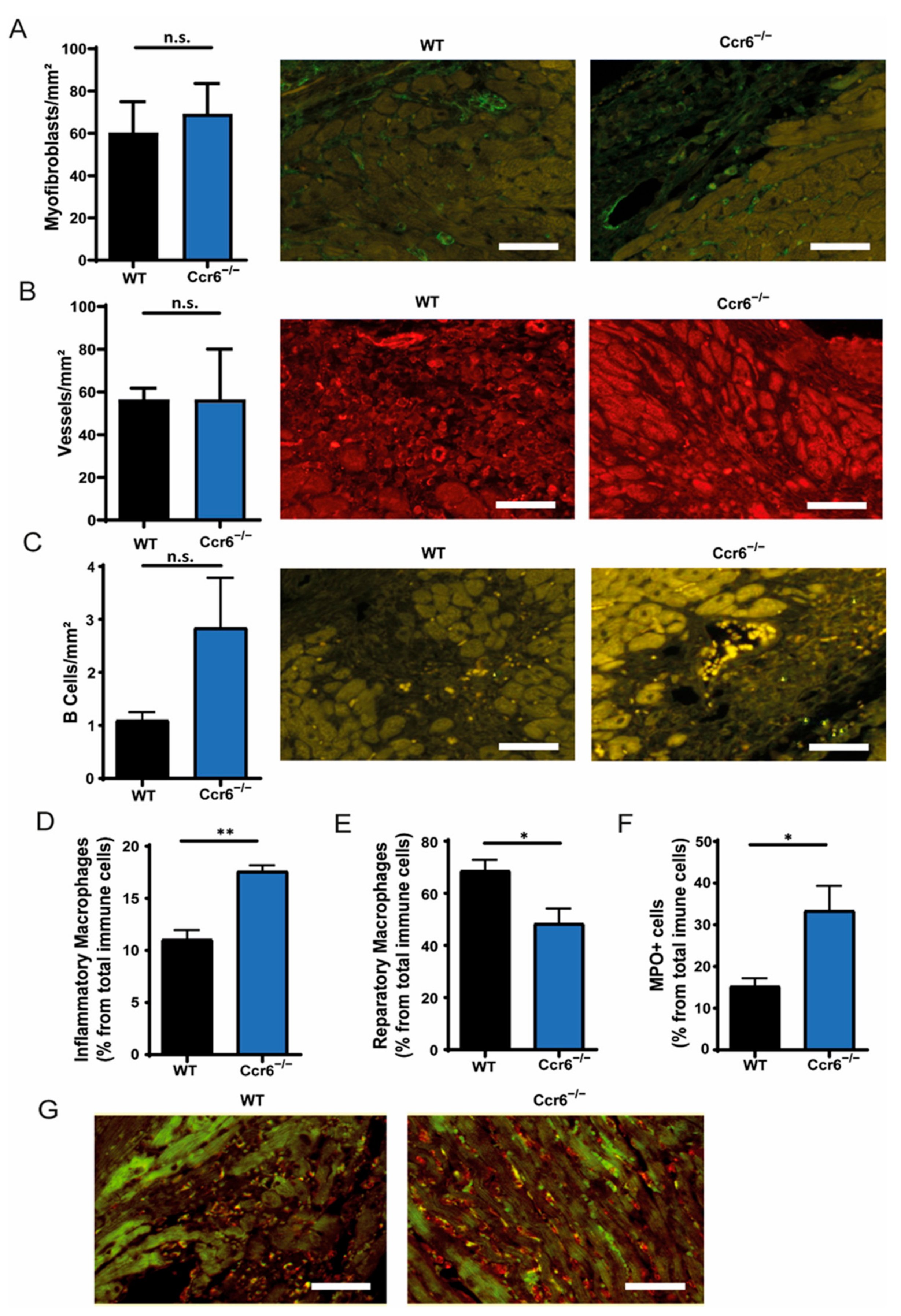 Biomedicines 09 01532 g003