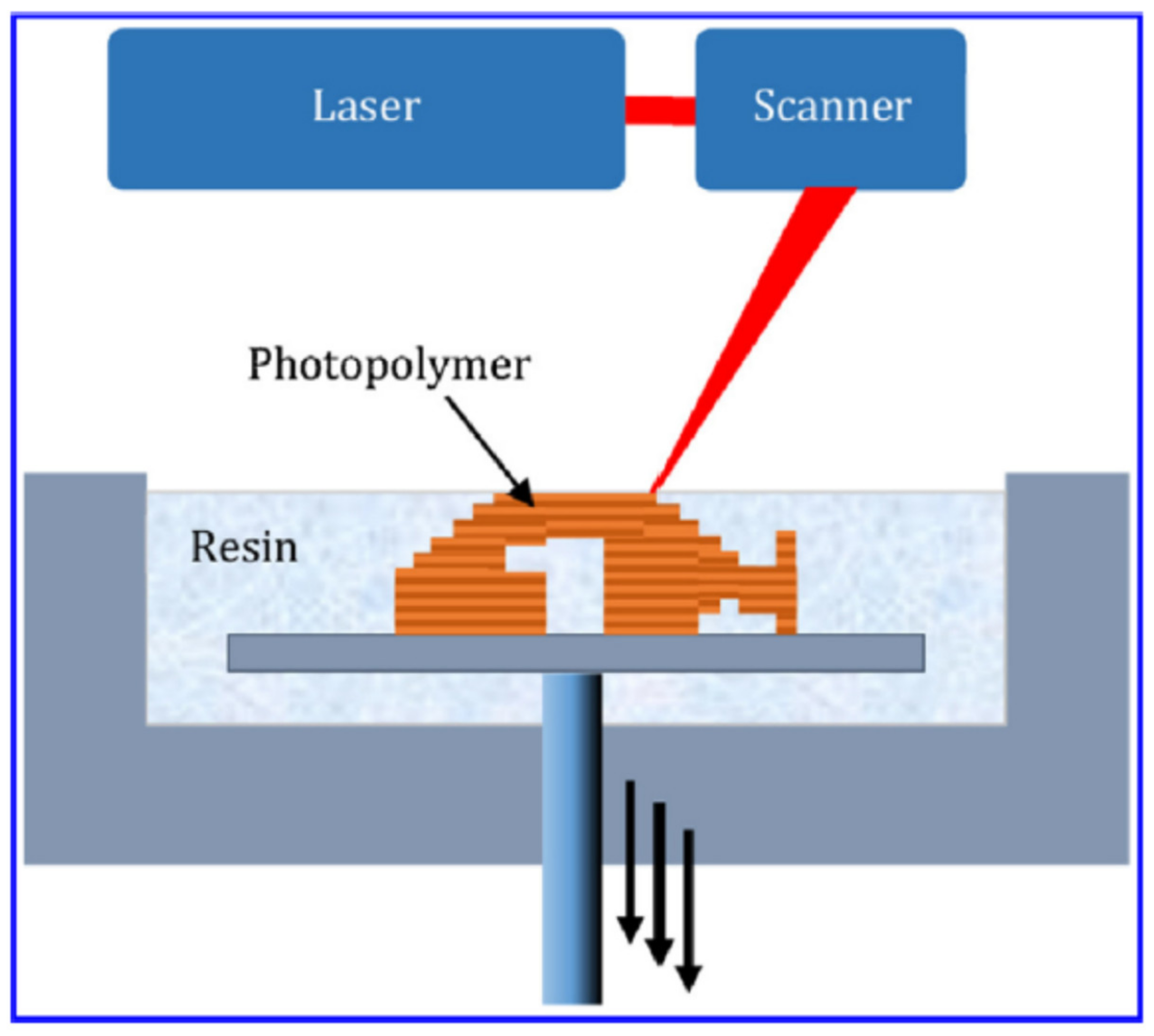 Biomedicines 09 01537 g002