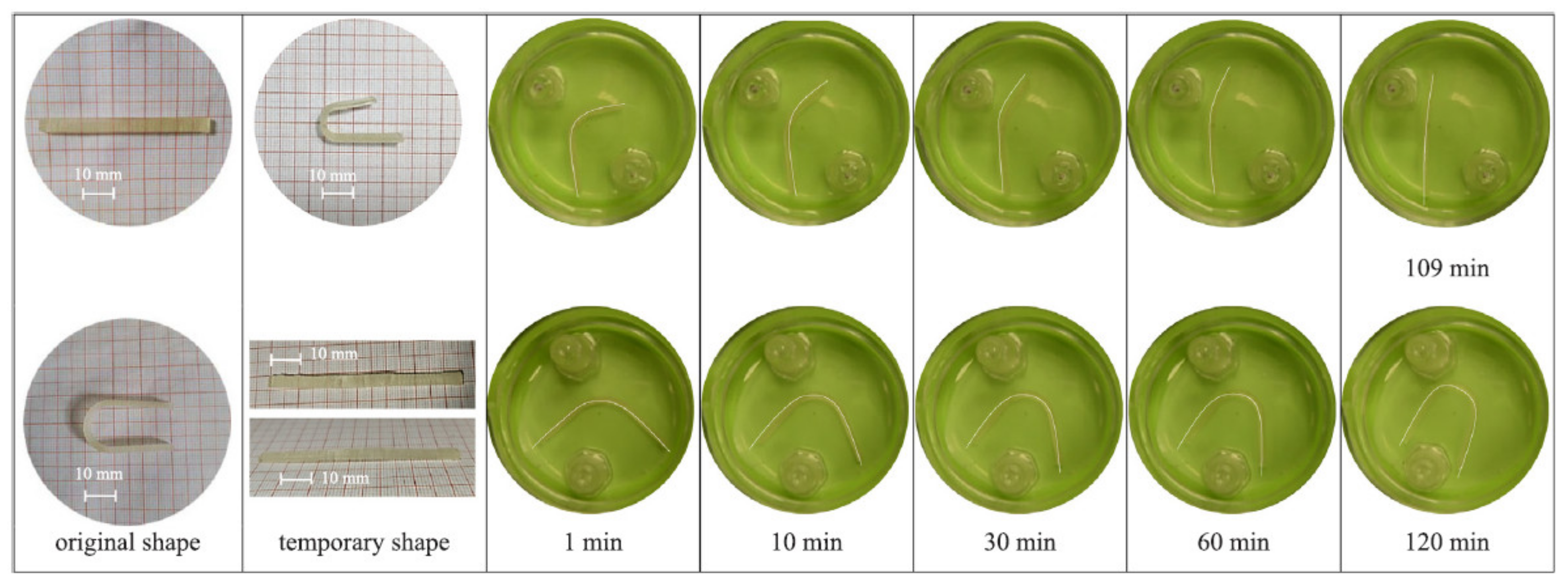 Biomedicines 09 01537 g003
