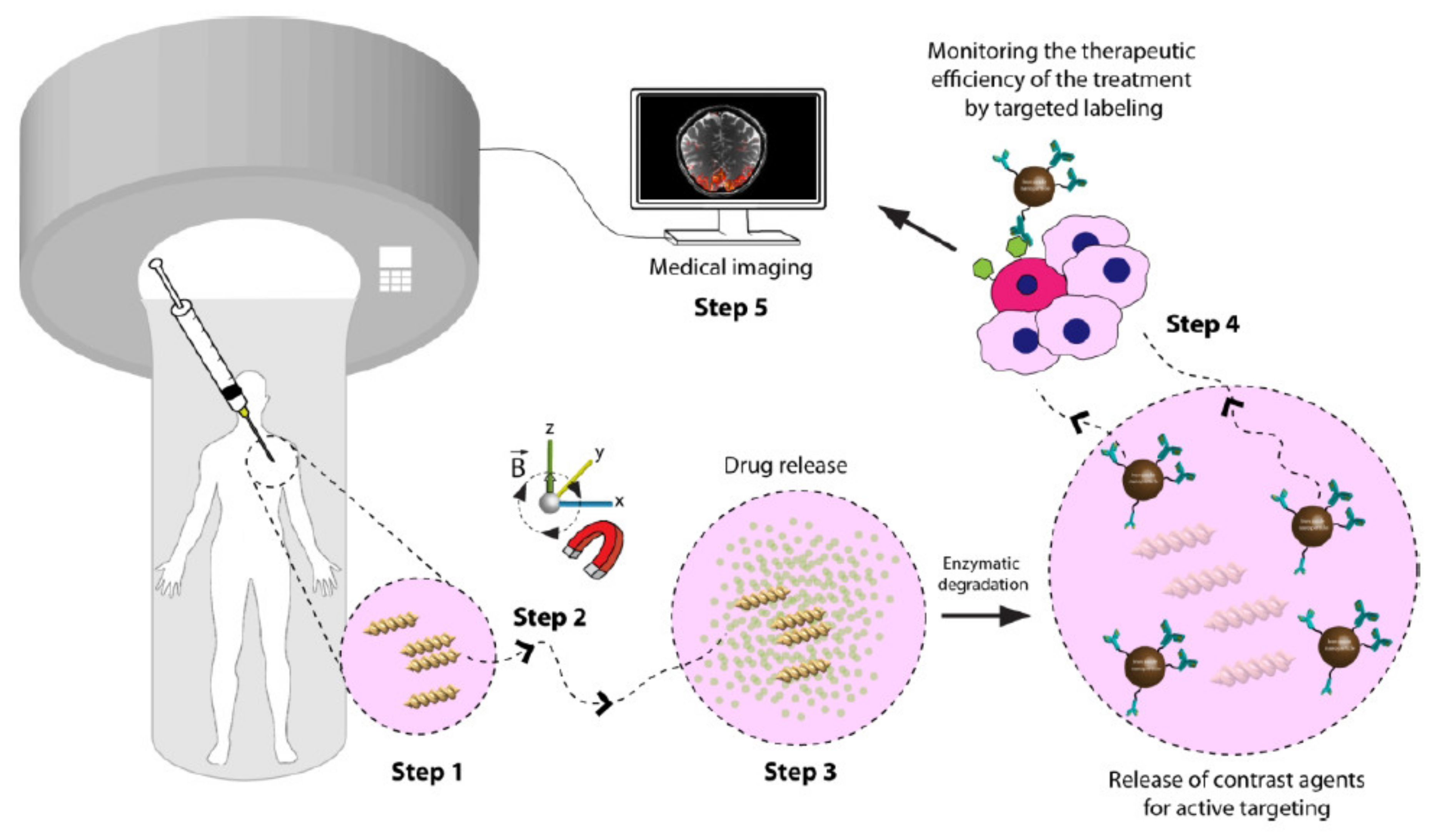 Biomedicines 09 01537 g004